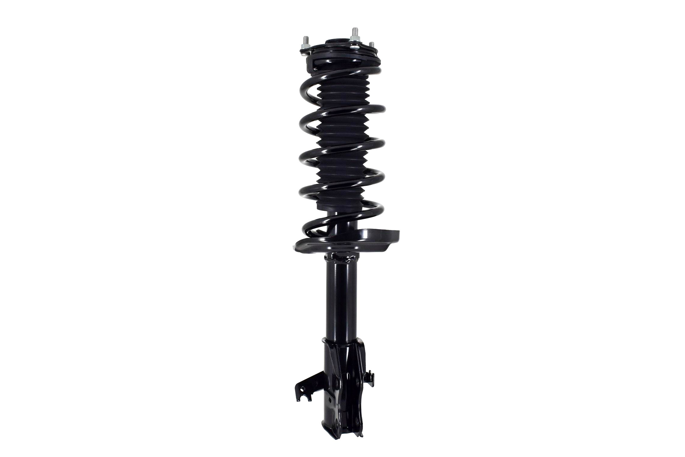 Suspension Strut and Coil Spring Assembly