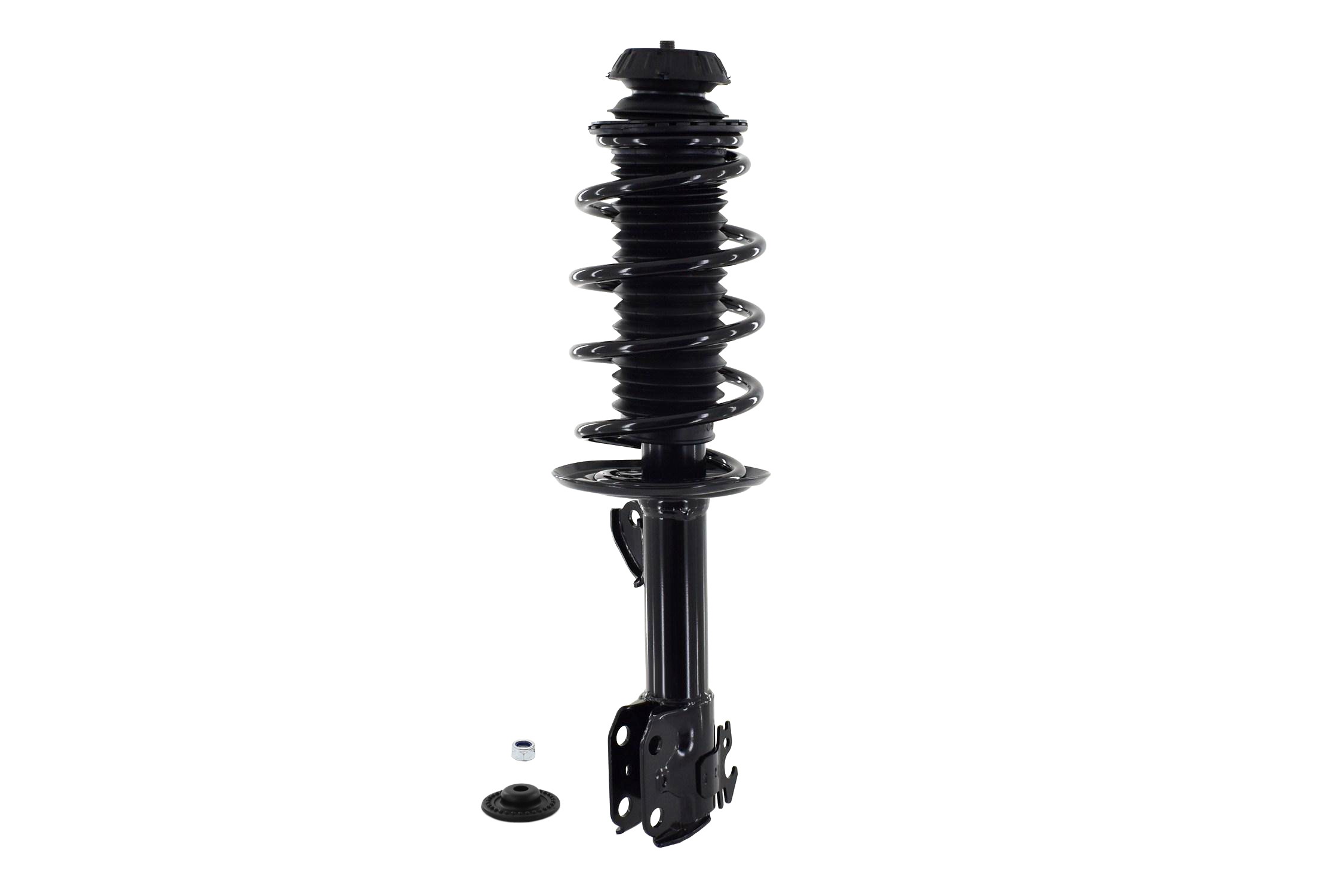 Suspension Strut and Coil Spring Assembly
