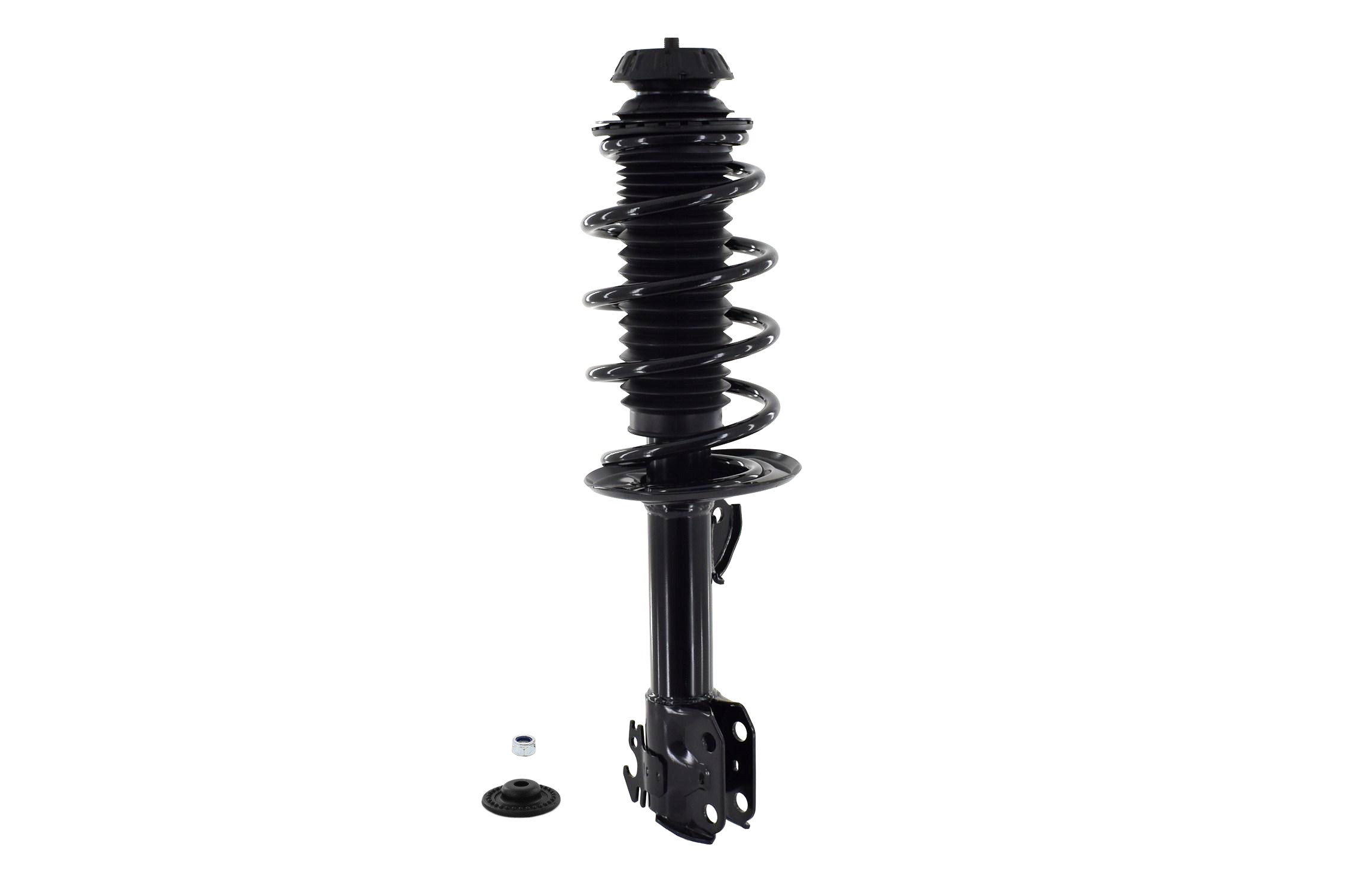 Suspension Strut and Coil Spring Assembly