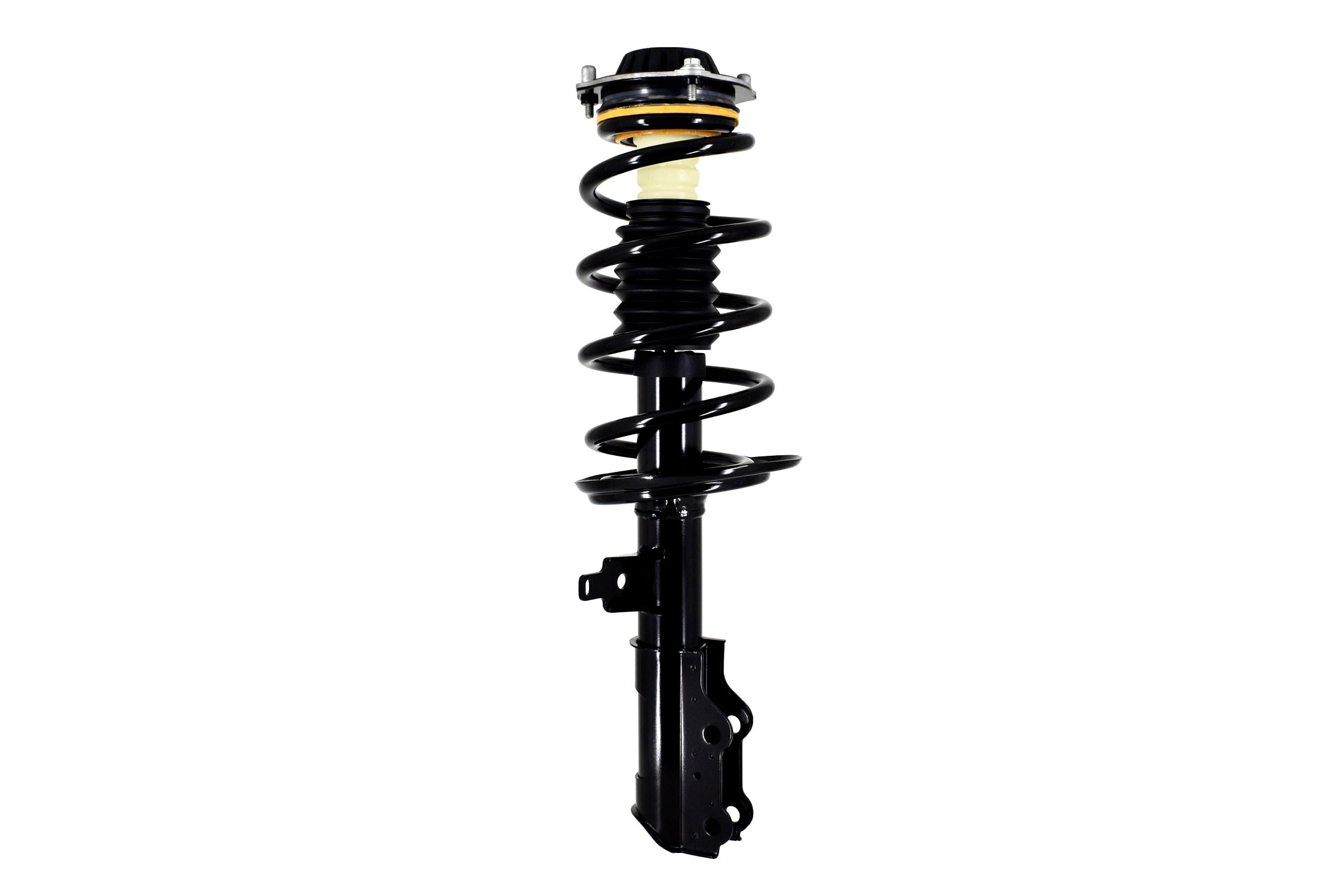Suspension Strut and Coil Spring Assembly