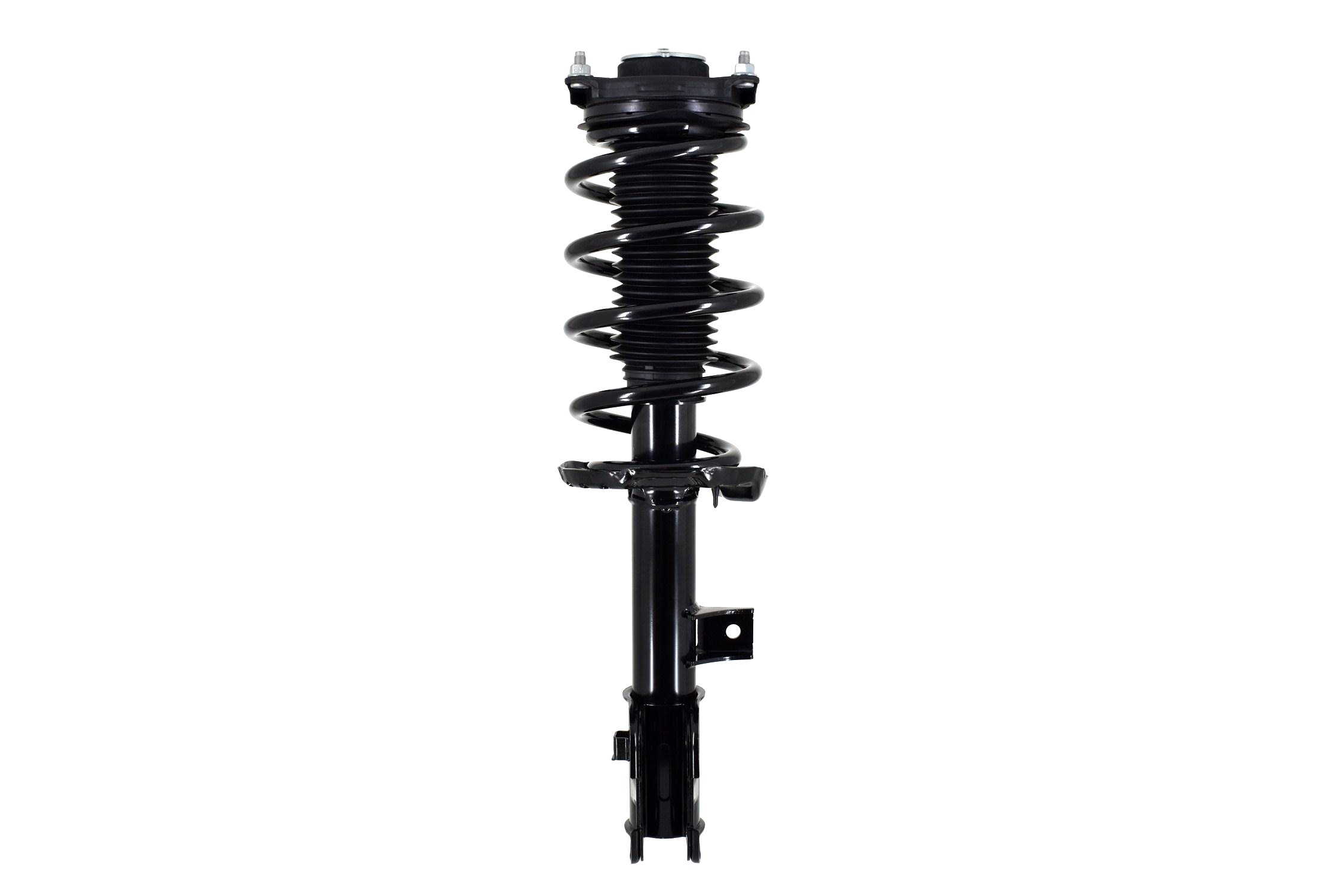 Suspension Strut and Coil Spring Assembly