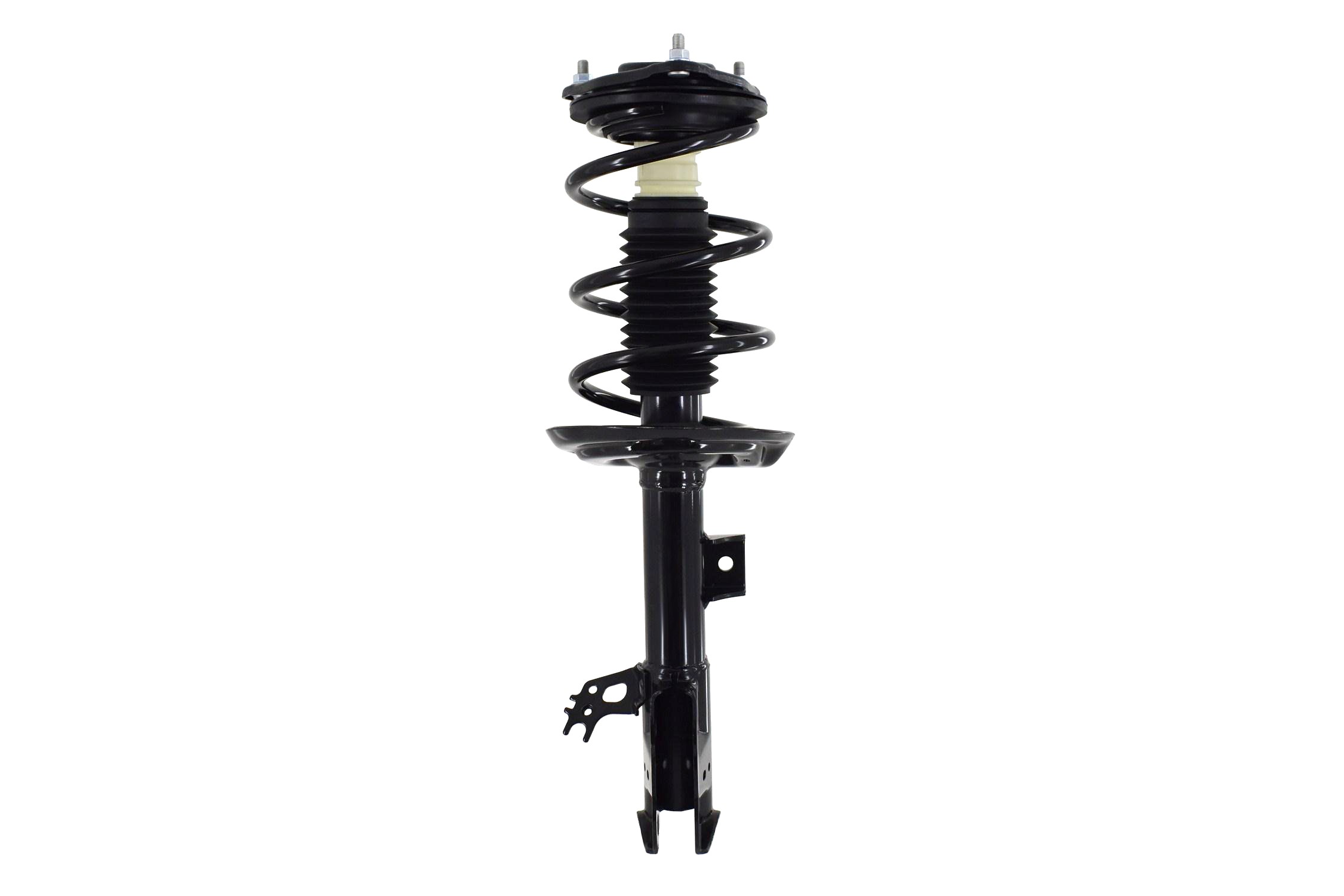 Suspension Strut and Coil Spring Assembly