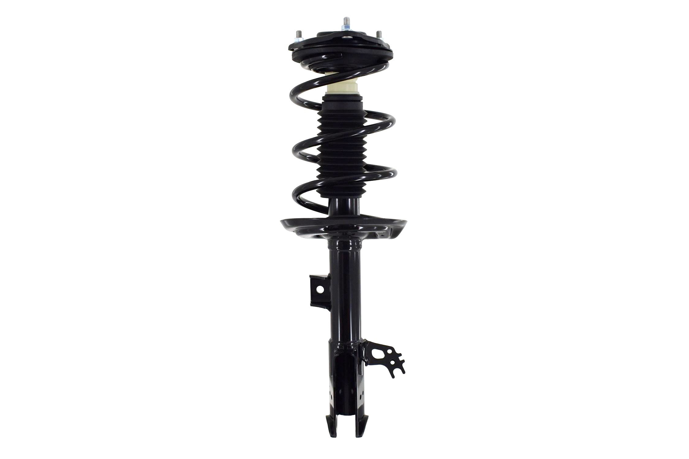 Suspension Strut and Coil Spring Assembly