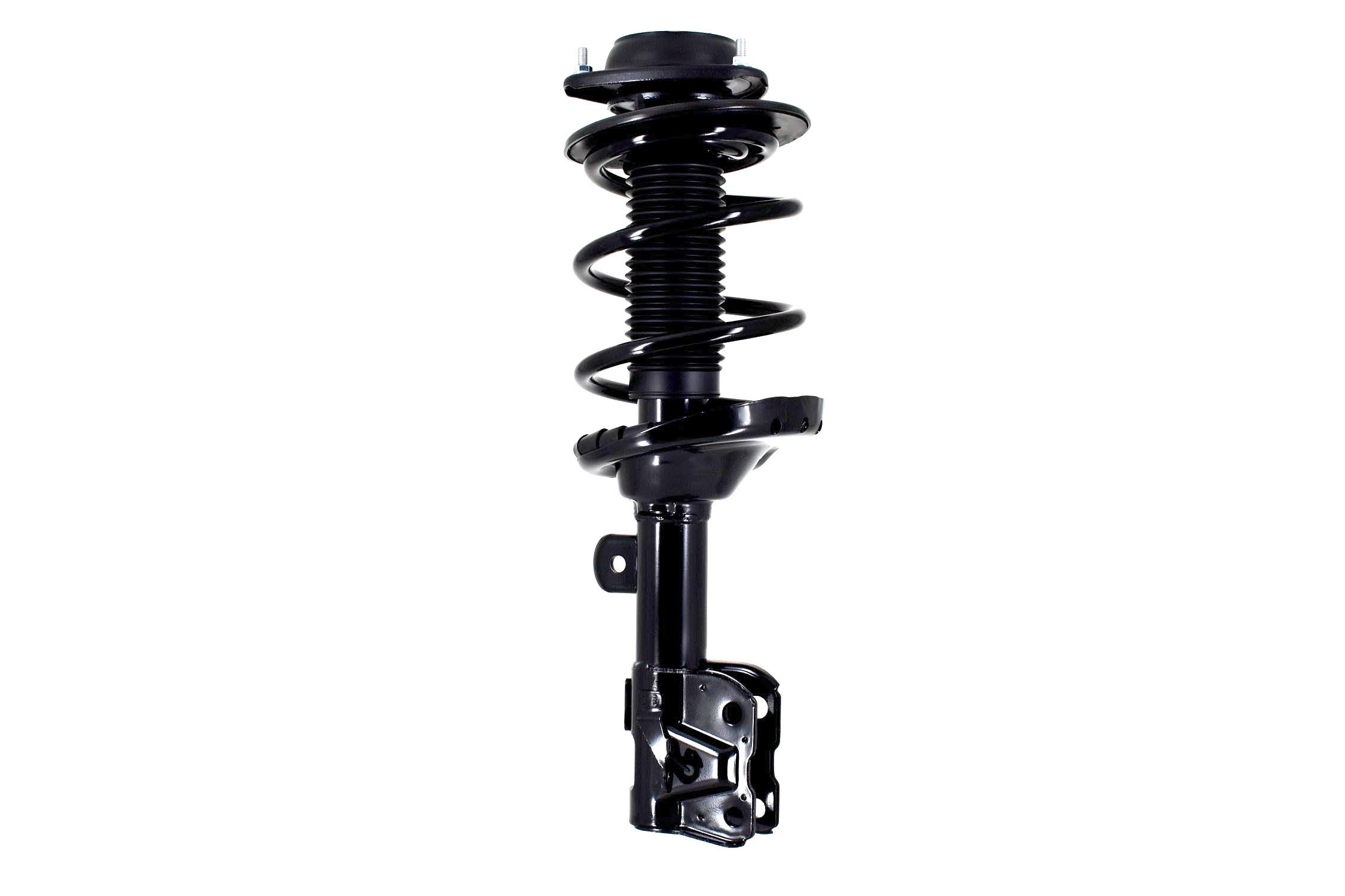 Suspension Strut and Coil Spring Assembly