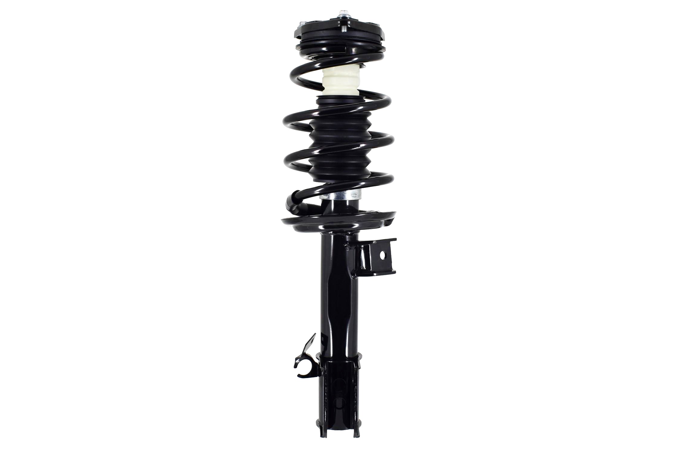 Suspension Strut and Coil Spring Assembly