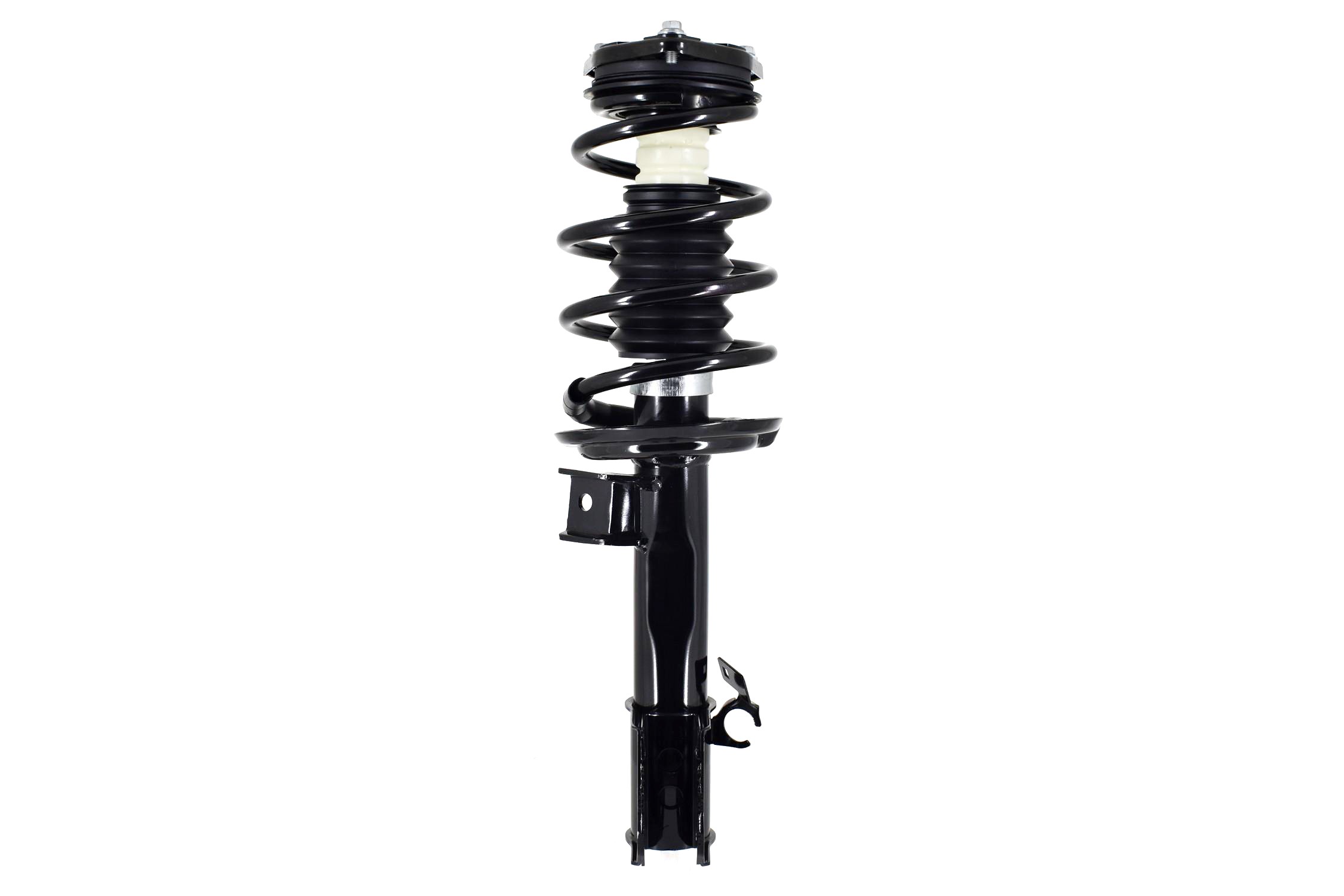 Suspension Strut and Coil Spring Assembly