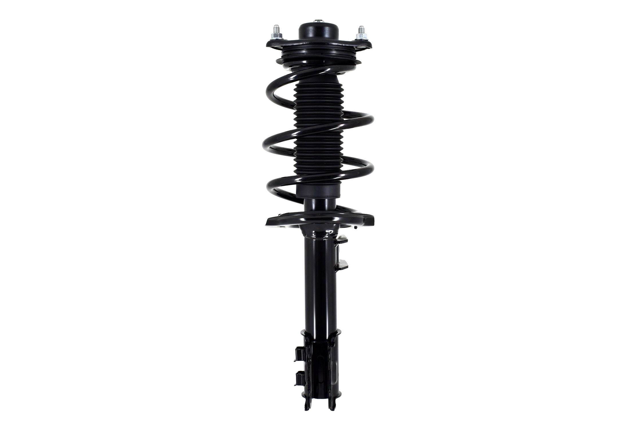 Suspension Strut and Coil Spring Assembly