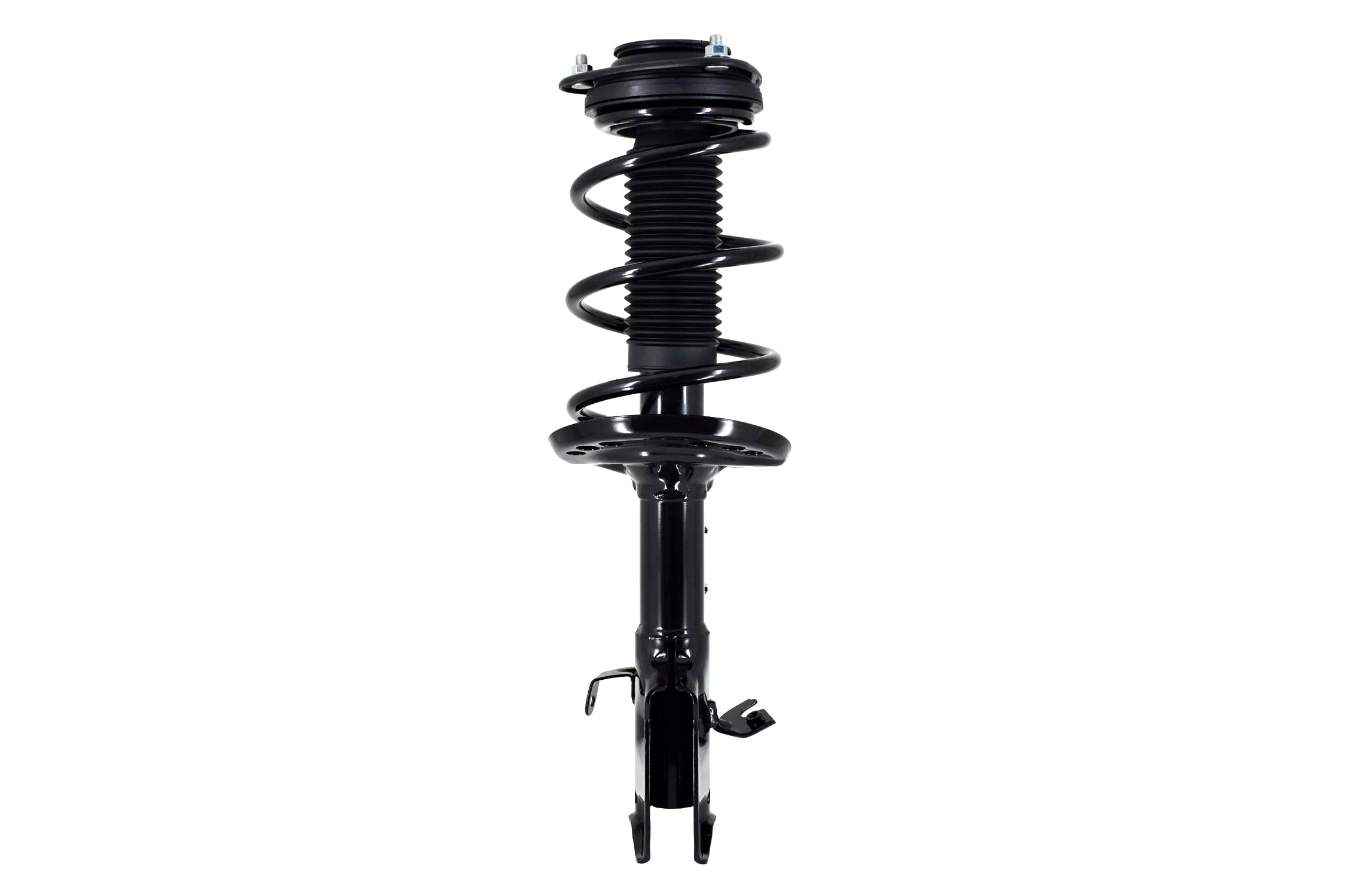 Suspension Strut and Coil Spring Assembly