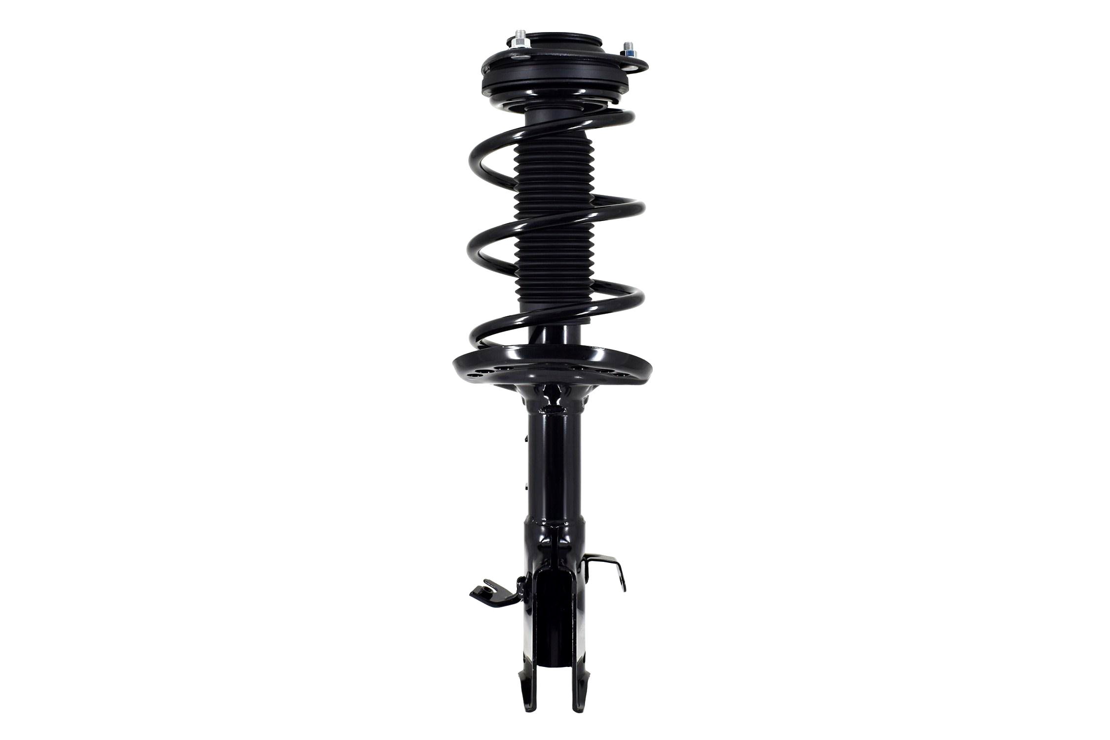 Suspension Strut and Coil Spring Assembly