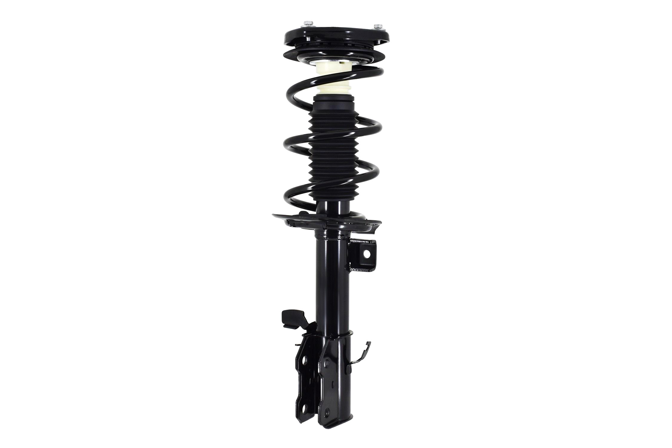 Suspension Strut and Coil Spring Assembly