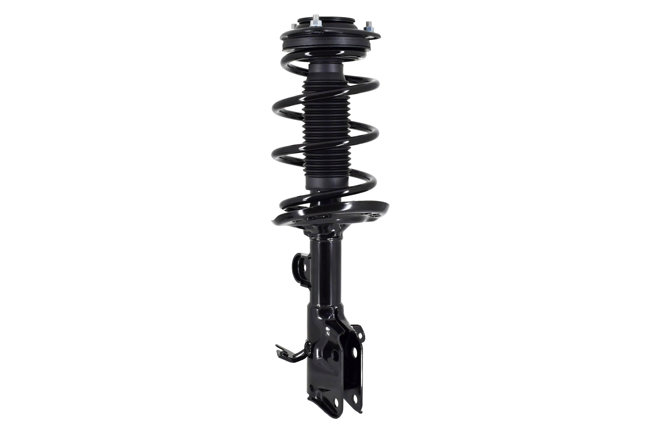 Suspension Strut and Coil Spring Assembly