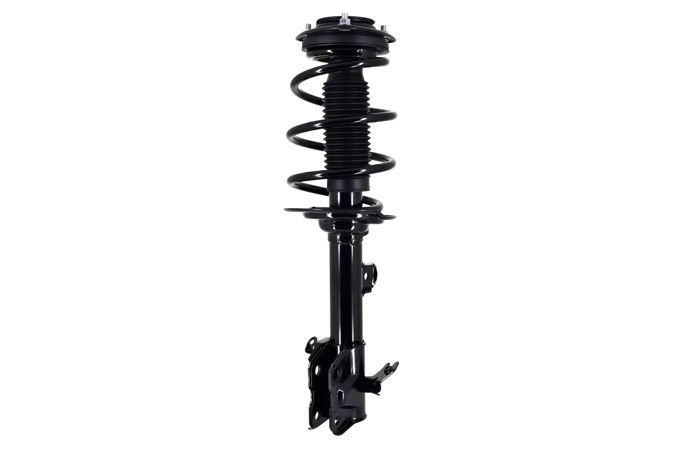Suspension Strut and Coil Spring Assembly