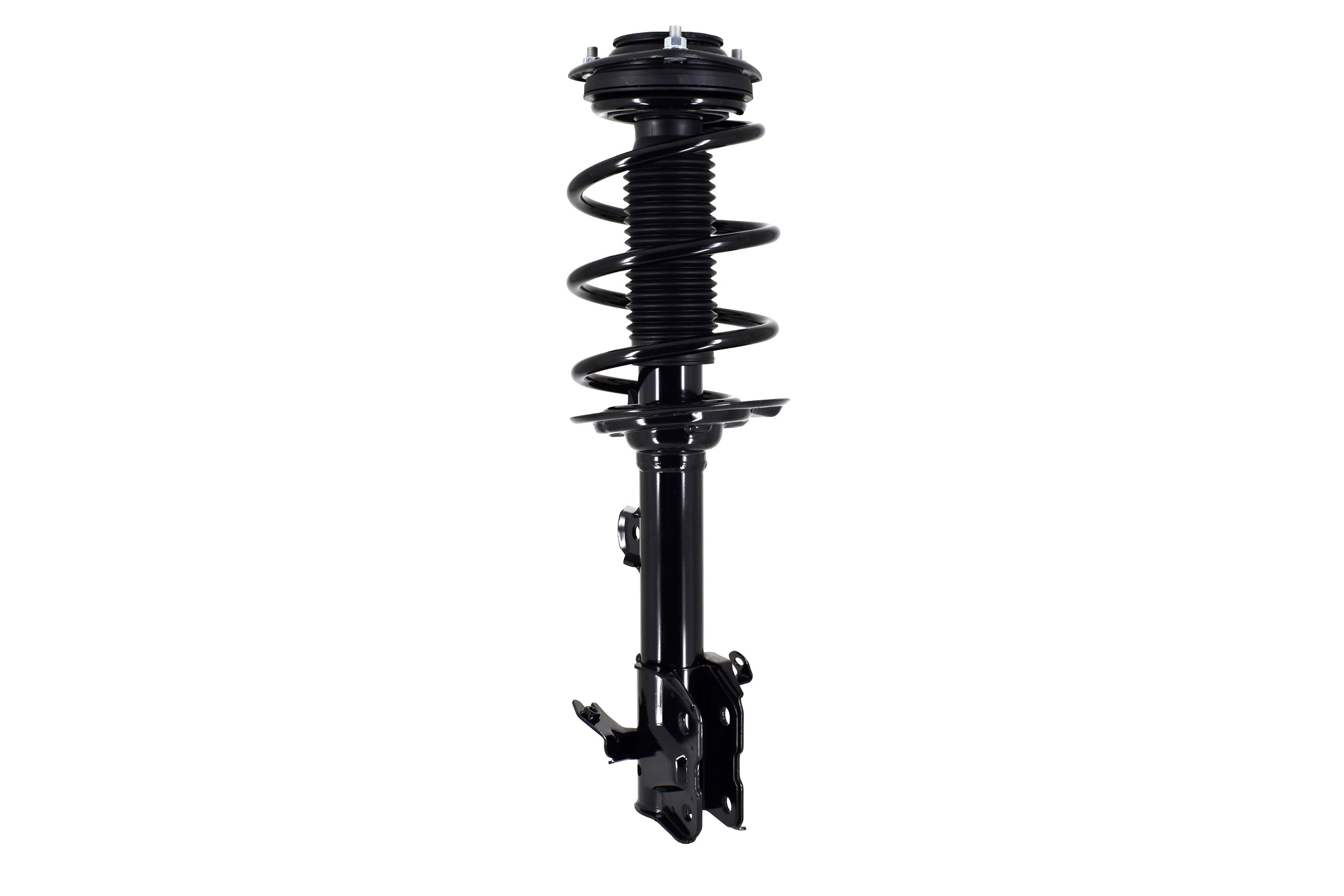 Suspension Strut and Coil Spring Assembly