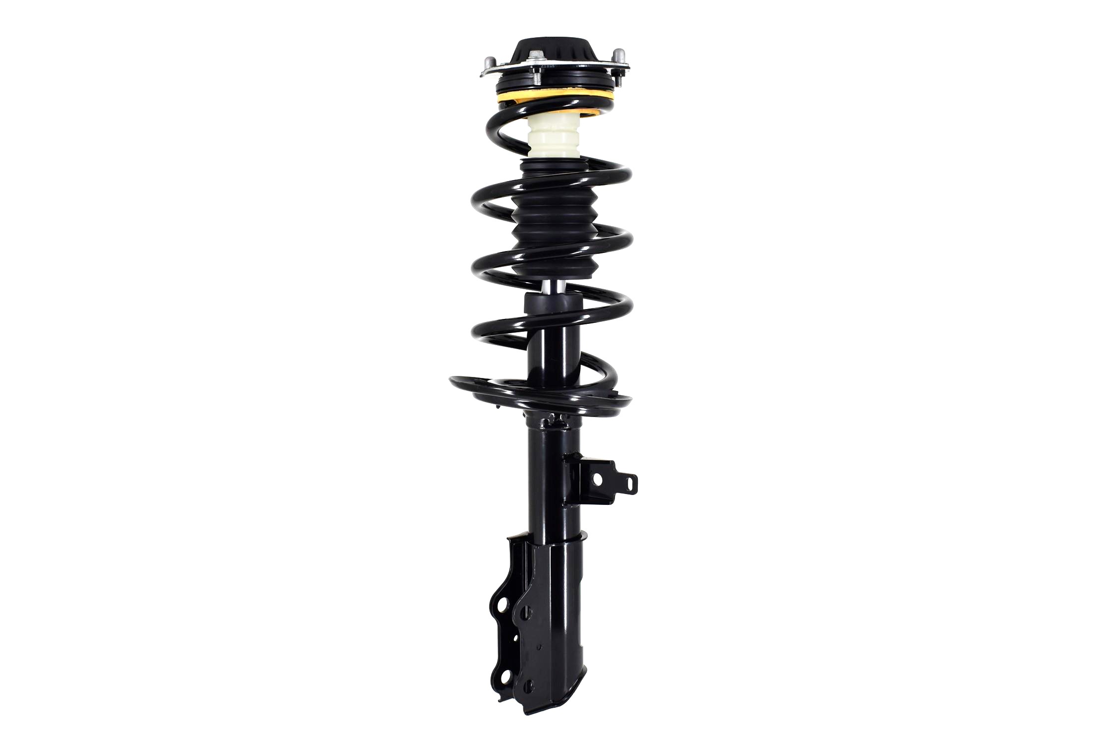Suspension Strut and Coil Spring Assembly