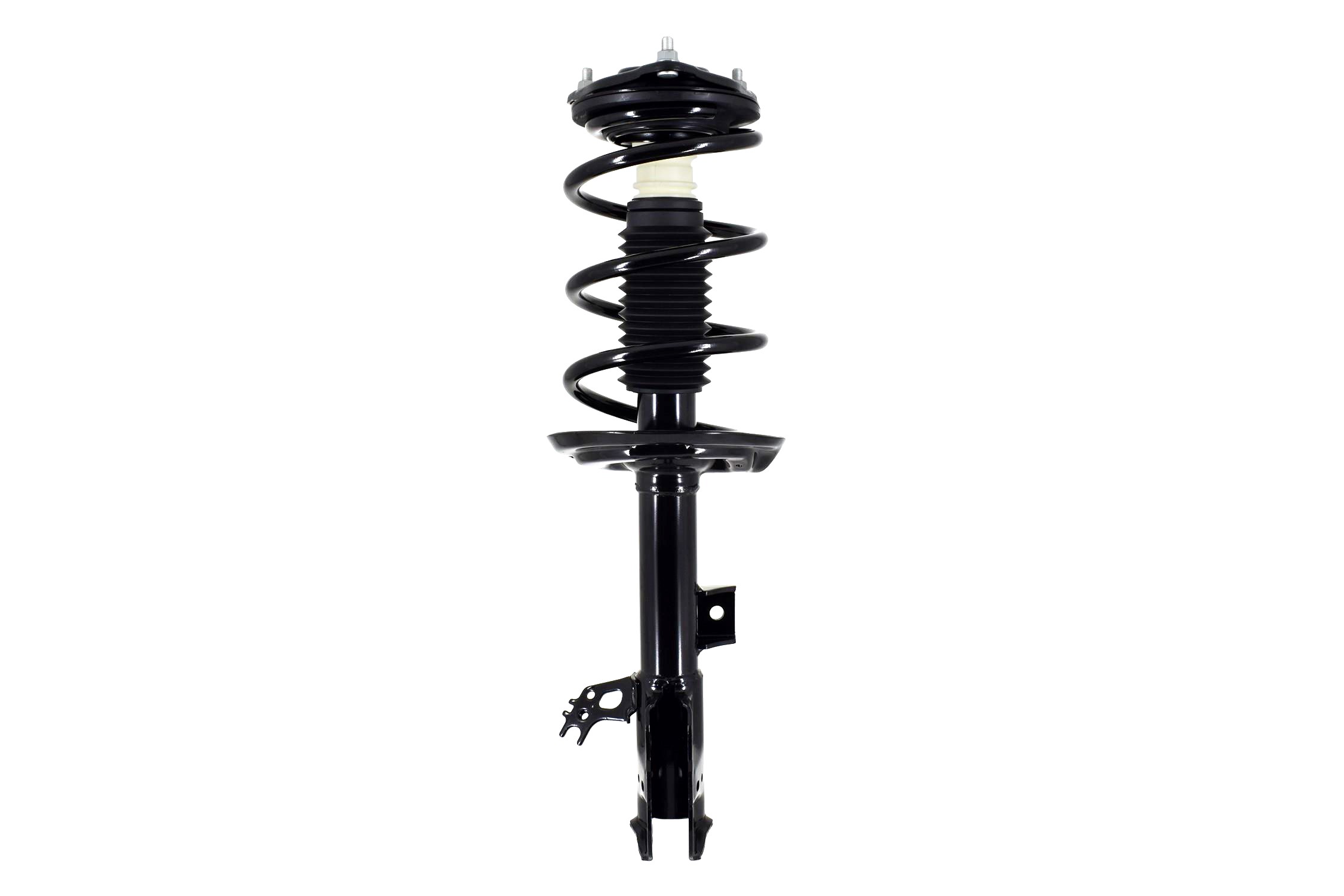 Suspension Strut and Coil Spring Assembly