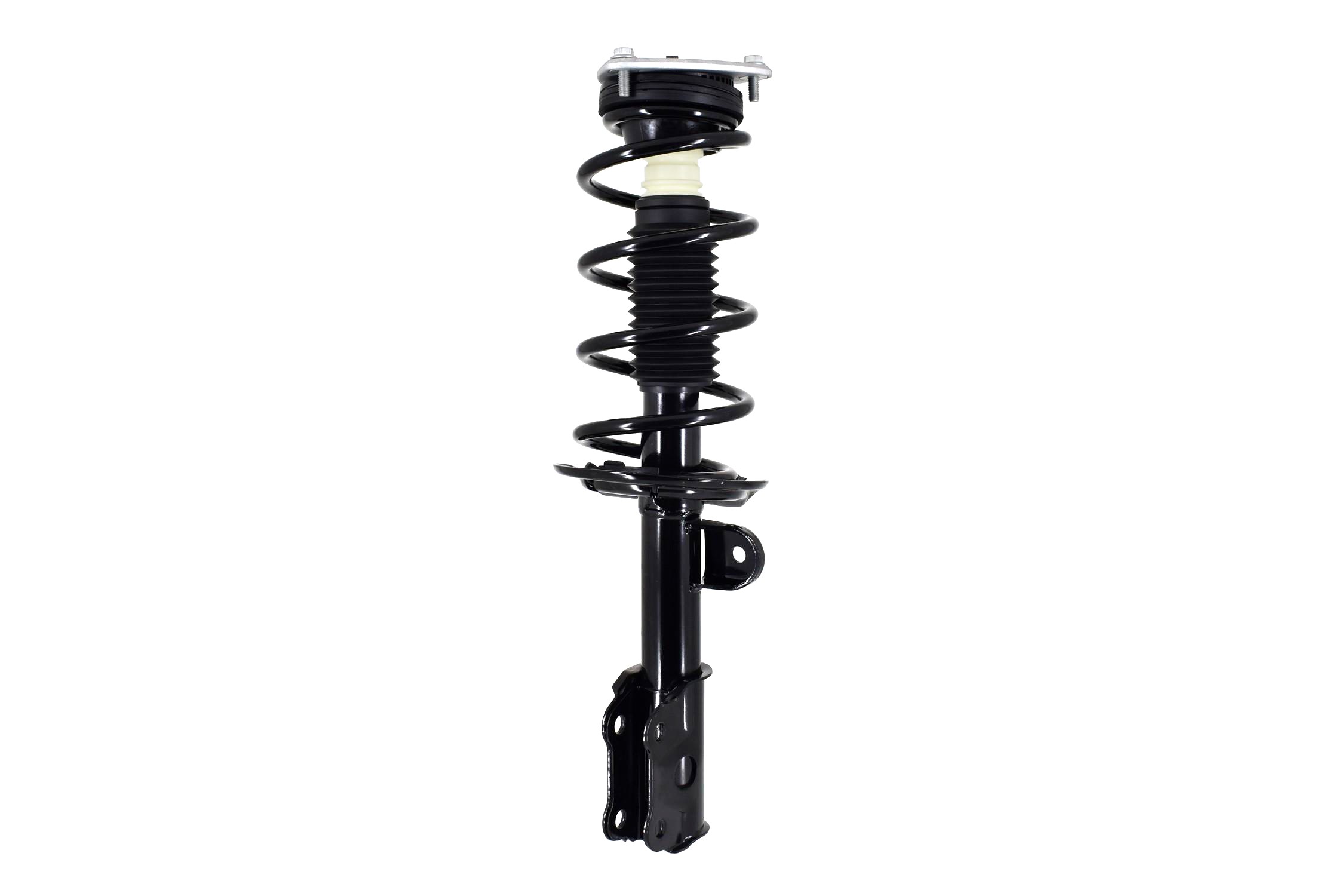 Suspension Strut and Coil Spring Assembly