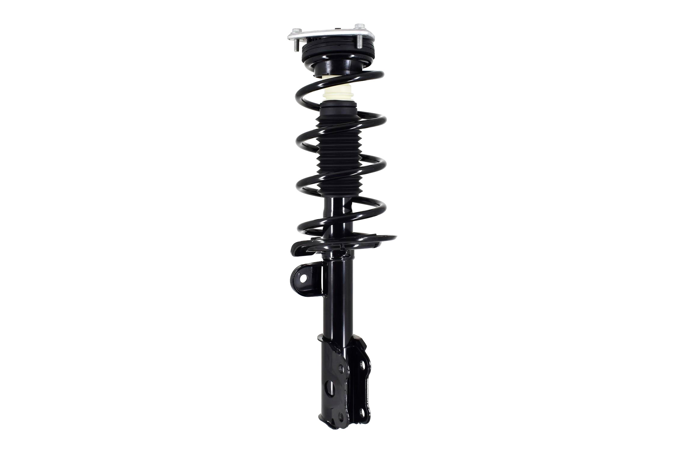 Suspension Strut and Coil Spring Assembly