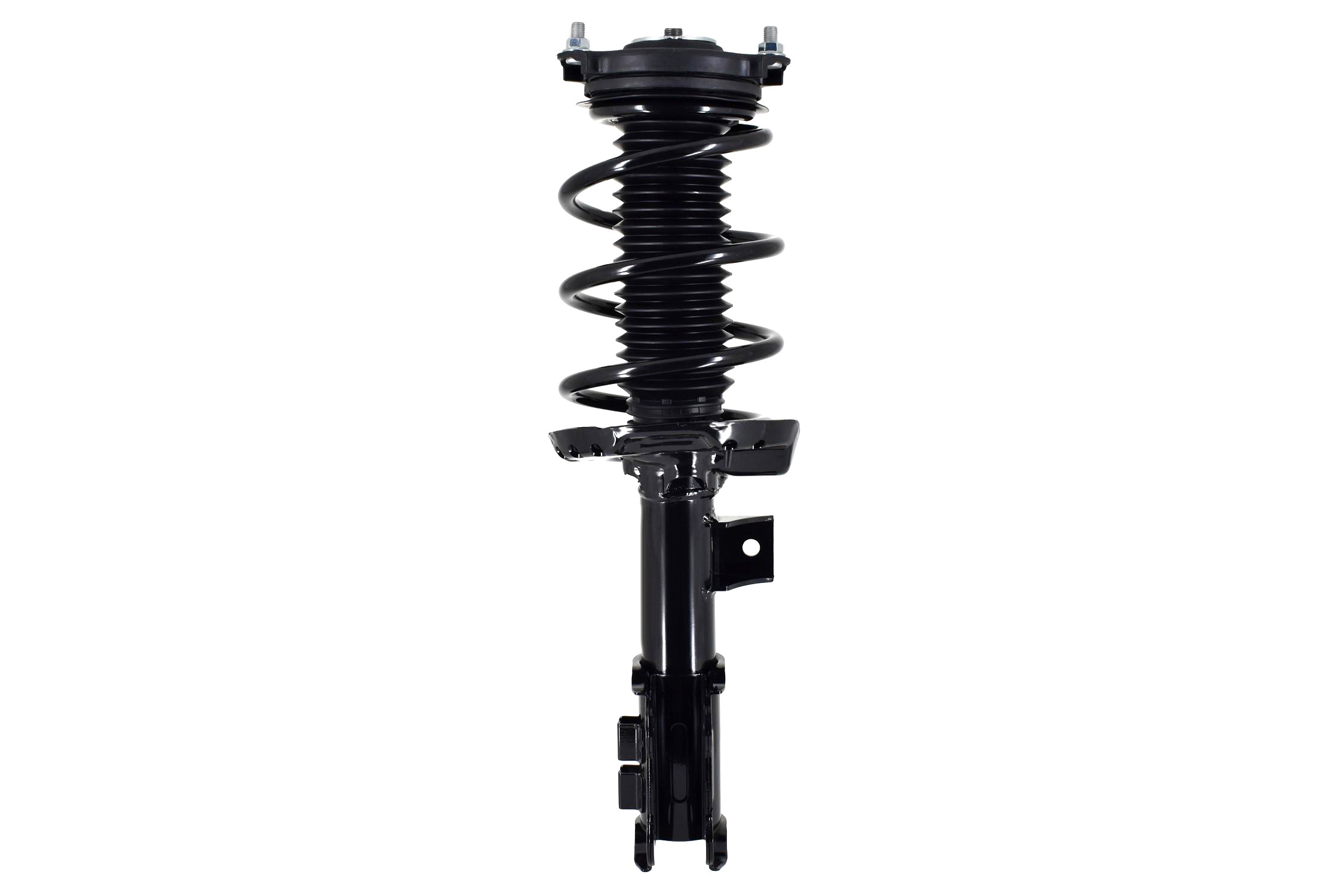 Suspension Strut and Coil Spring Assembly