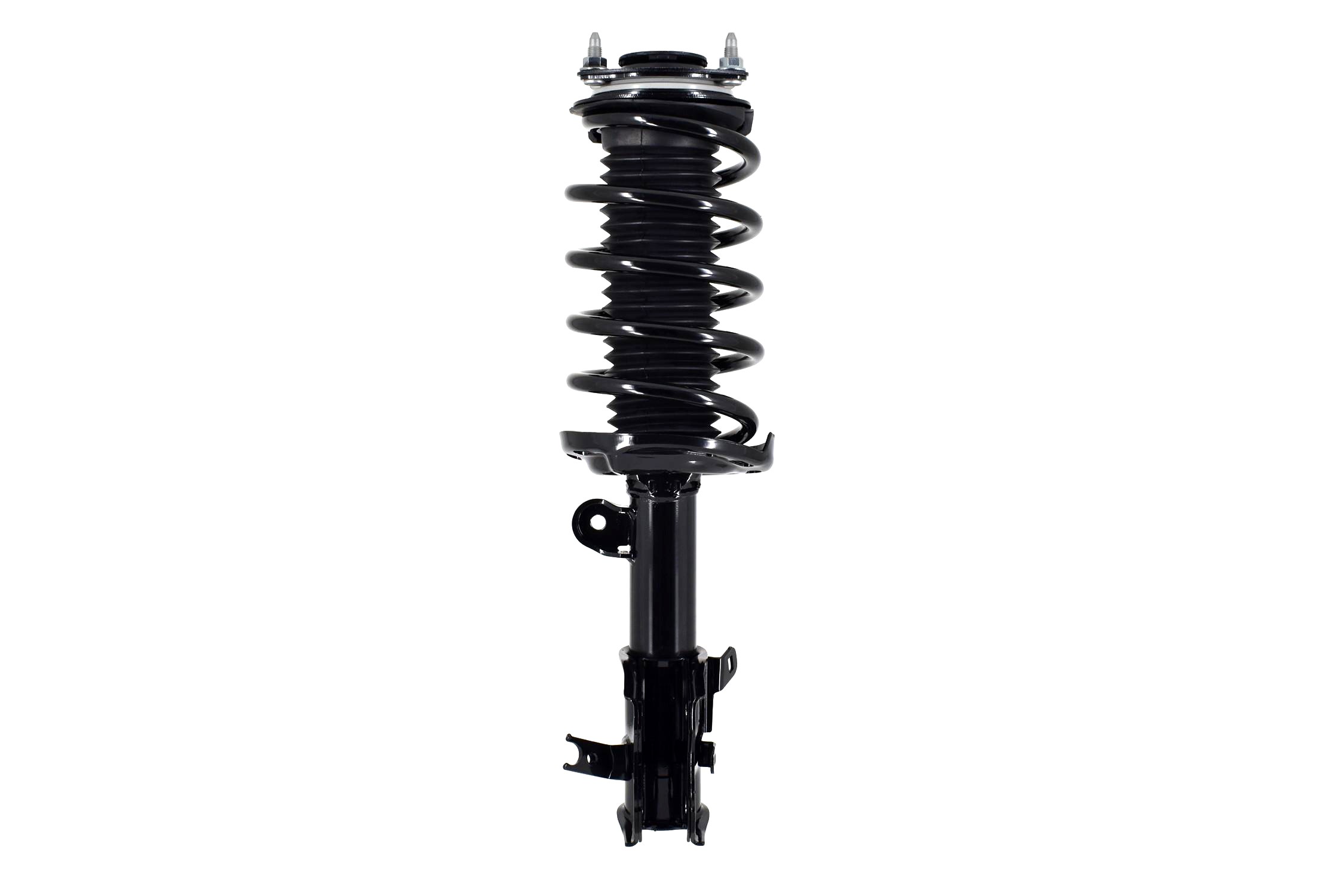 Suspension Strut and Coil Spring Assembly
