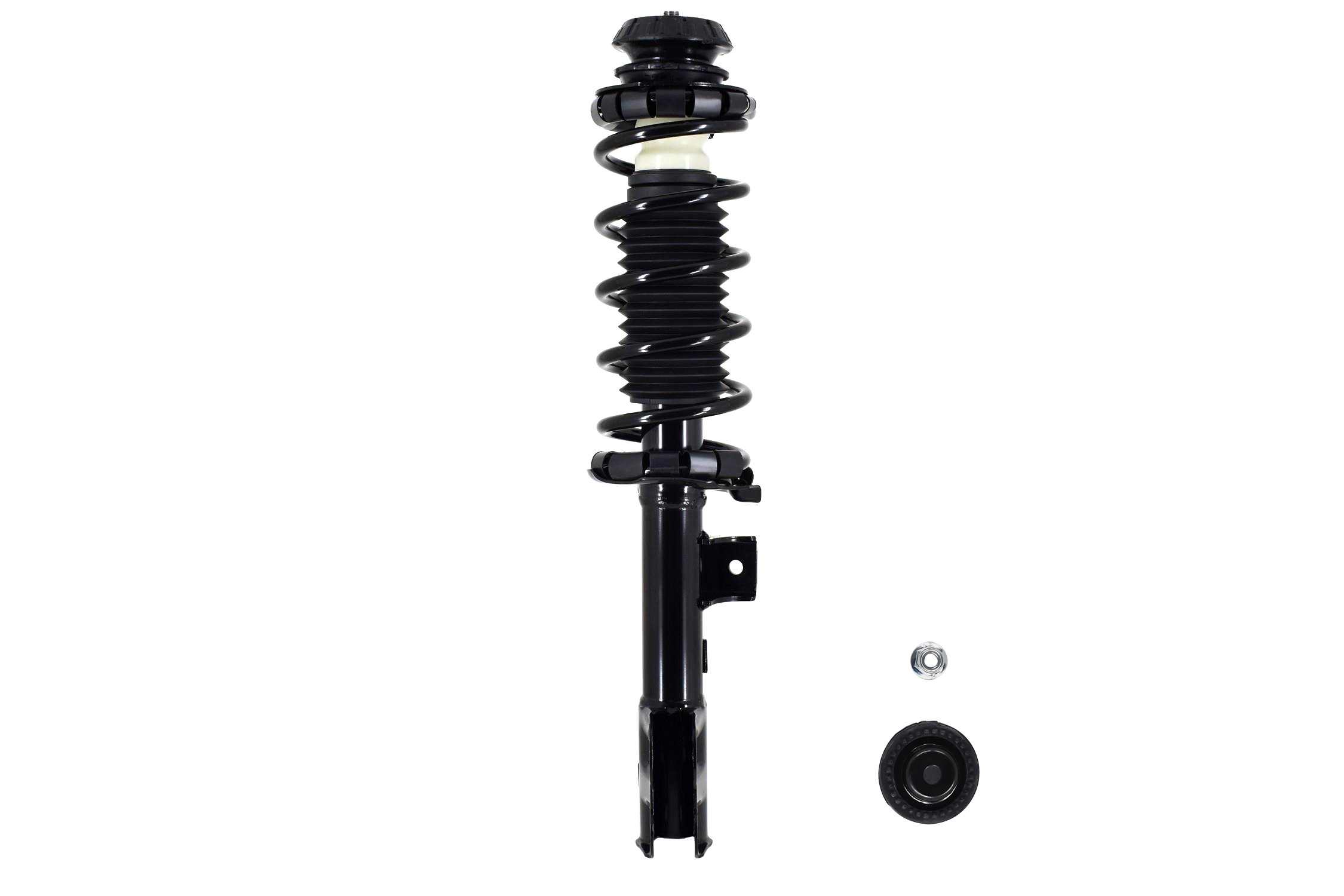 Suspension Strut and Coil Spring Assembly