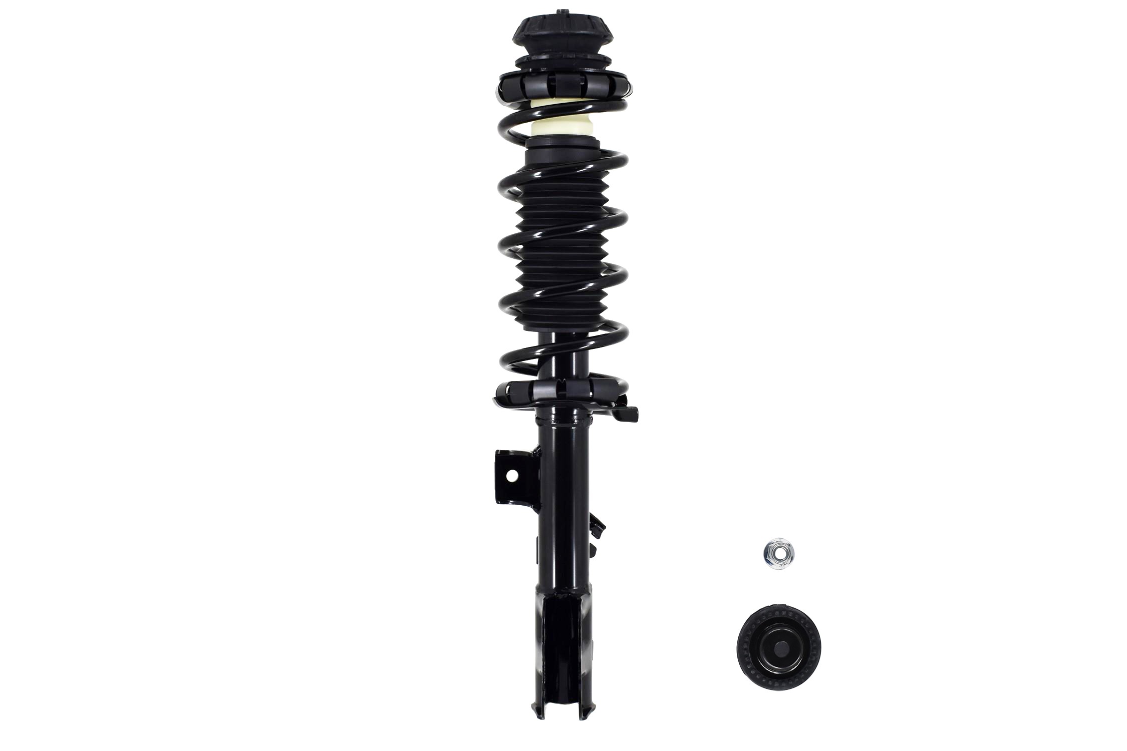 Suspension Strut and Coil Spring Assembly