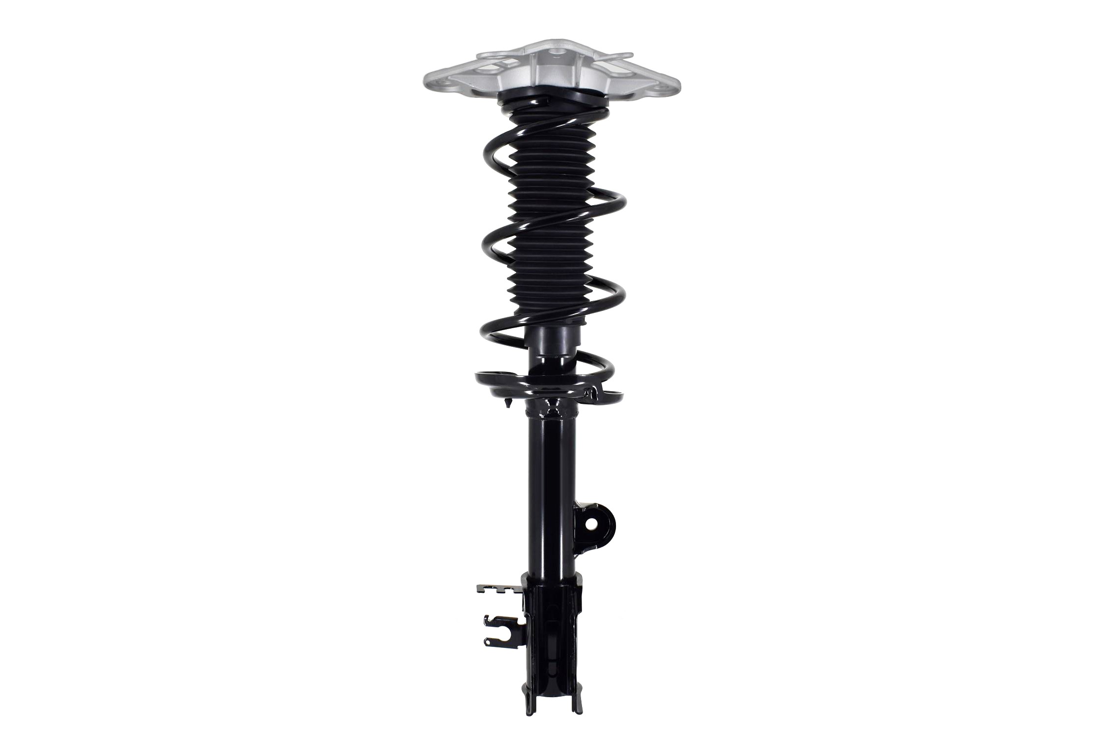 Suspension Strut and Coil Spring Assembly