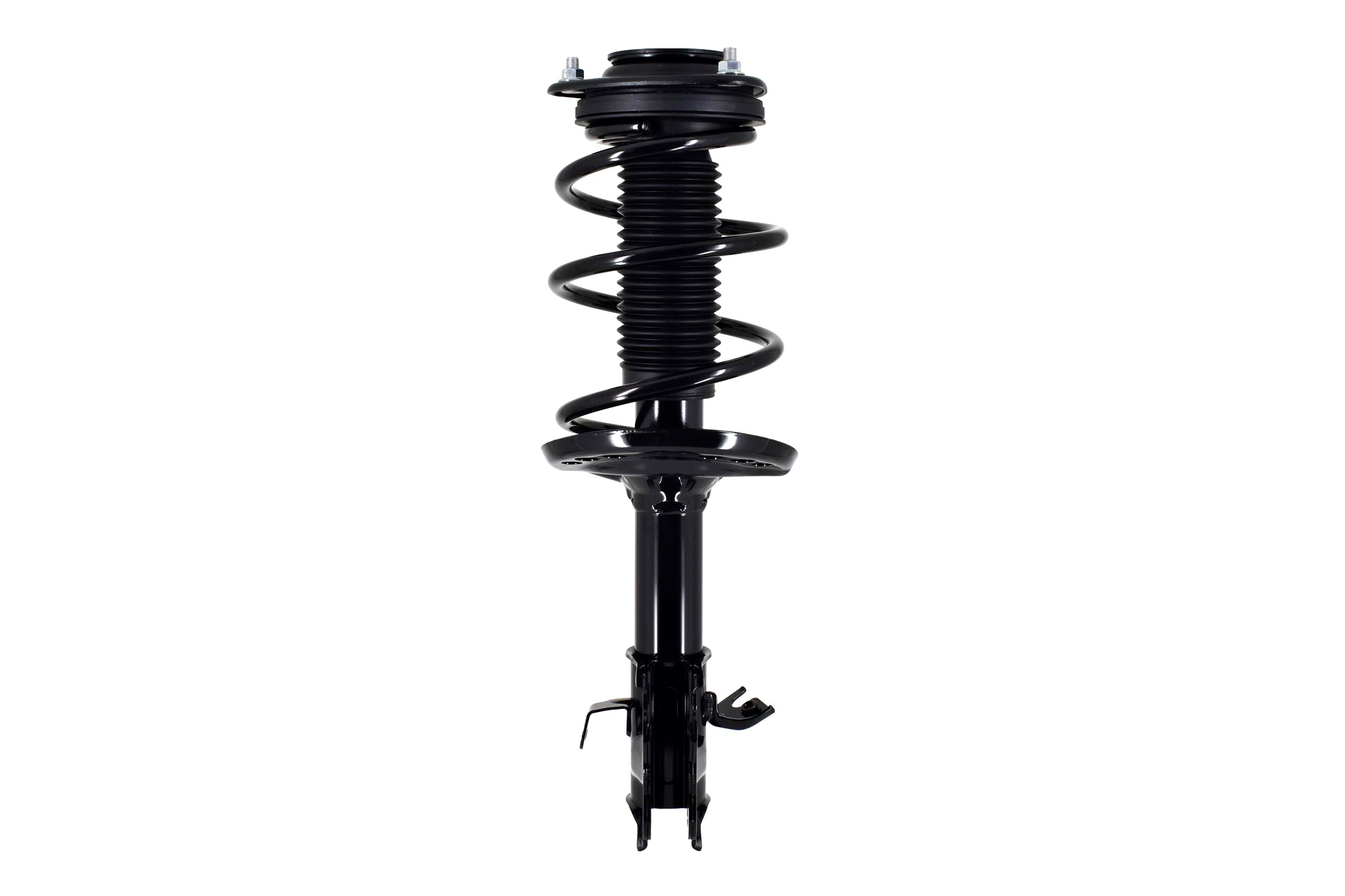 Suspension Strut and Coil Spring Assembly