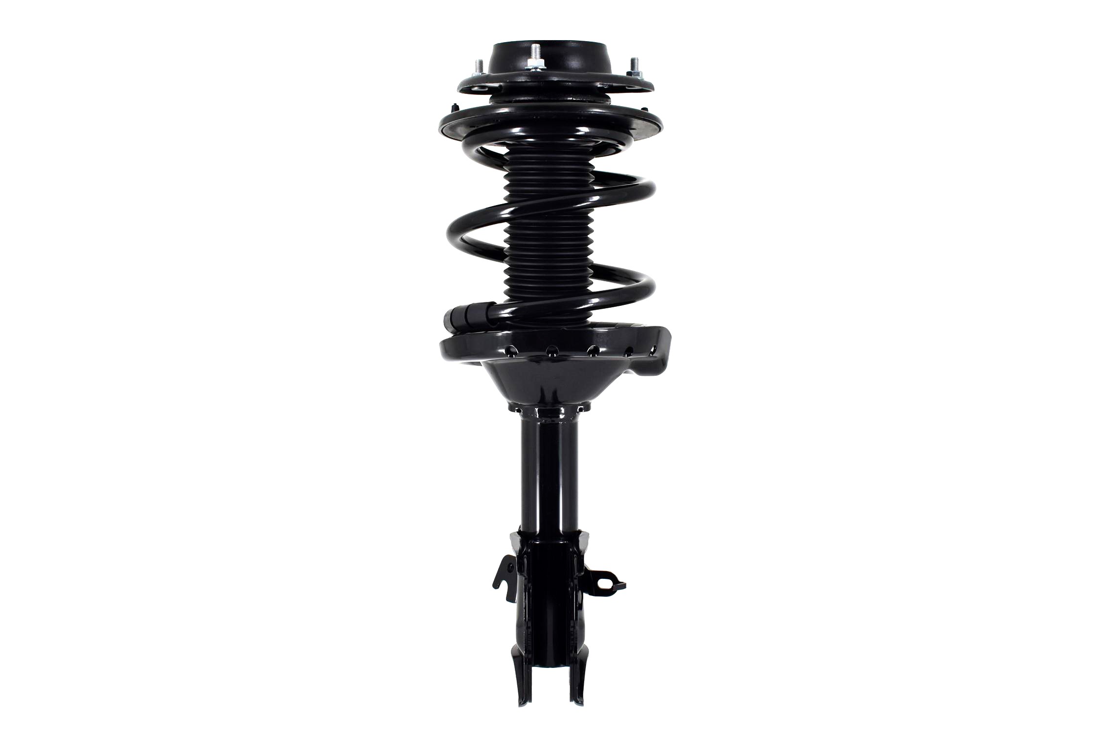 Suspension Strut and Coil Spring Assembly