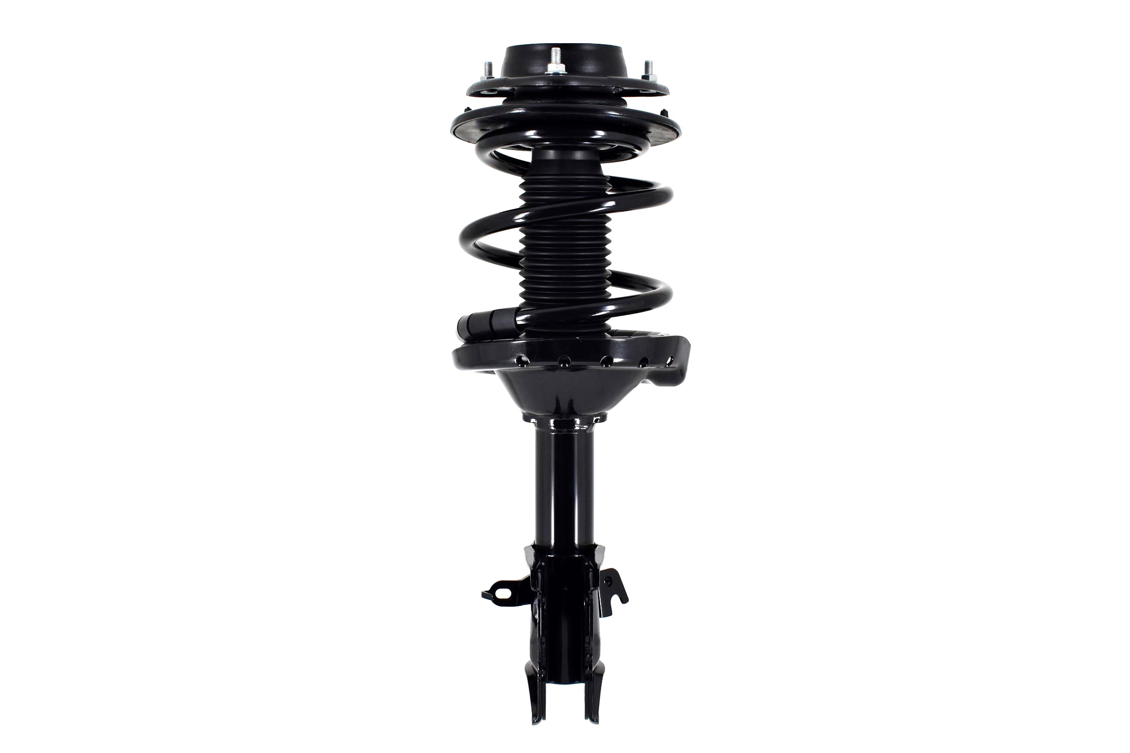 Suspension Strut and Coil Spring Assembly