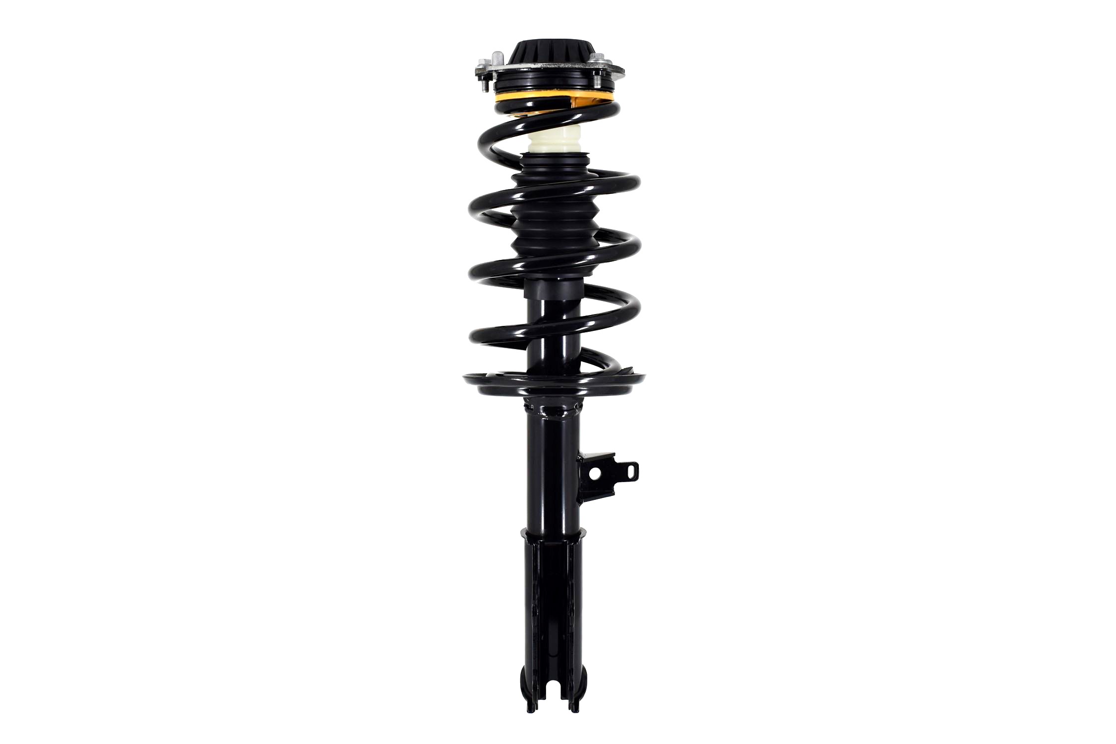 Suspension Strut and Coil Spring Assembly