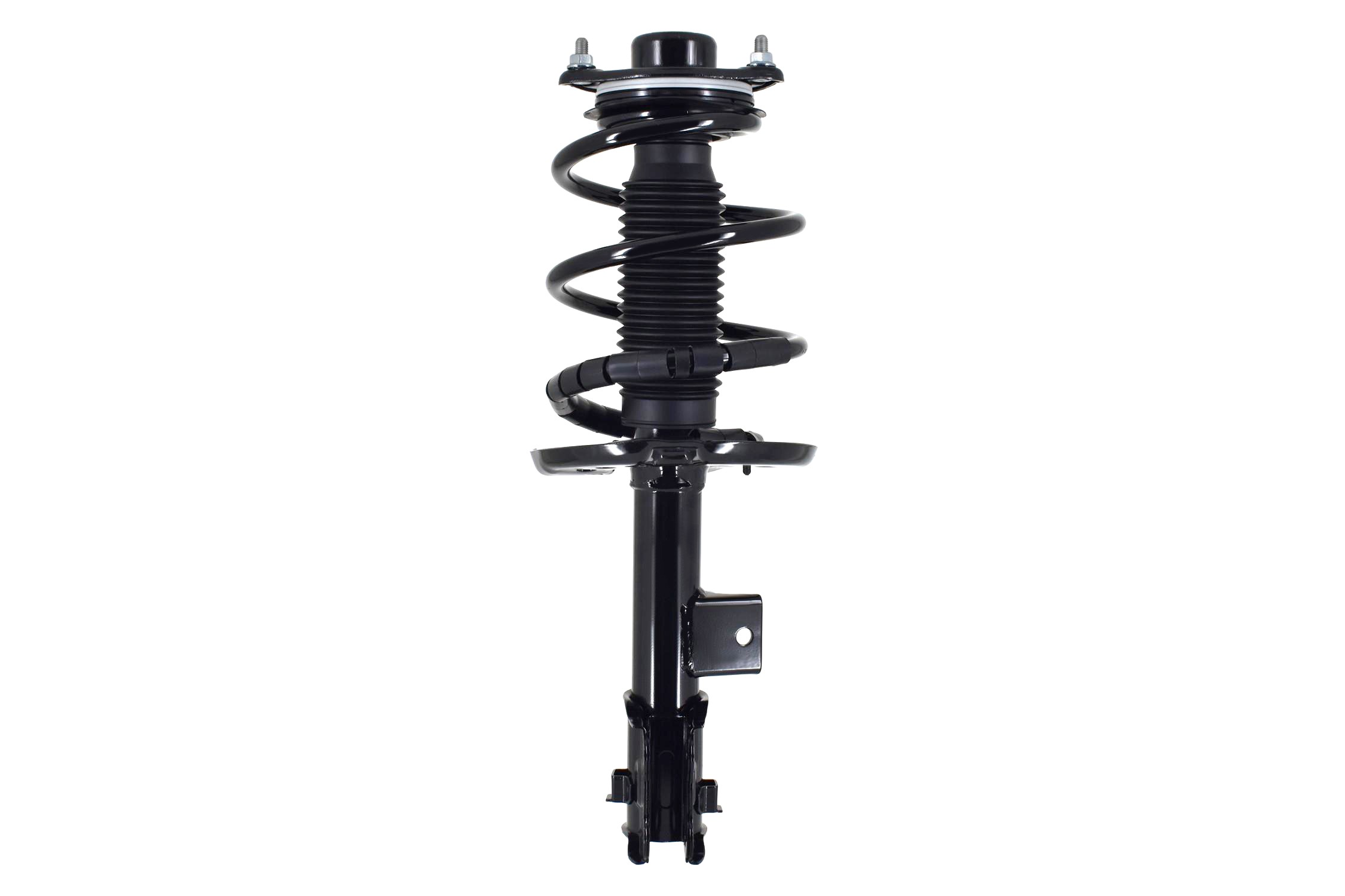 Suspension Strut and Coil Spring Assembly