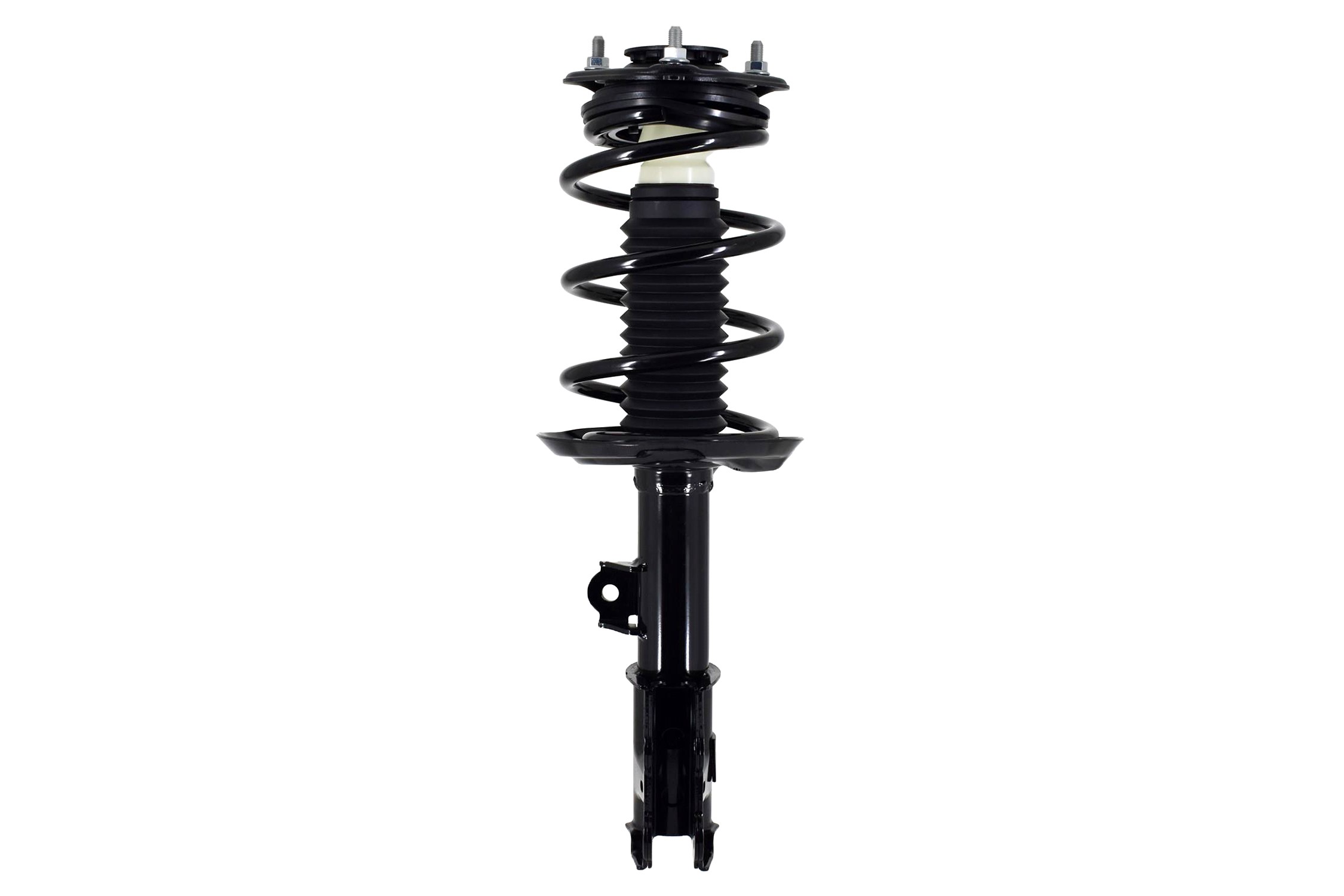 Suspension Strut and Coil Spring Assembly