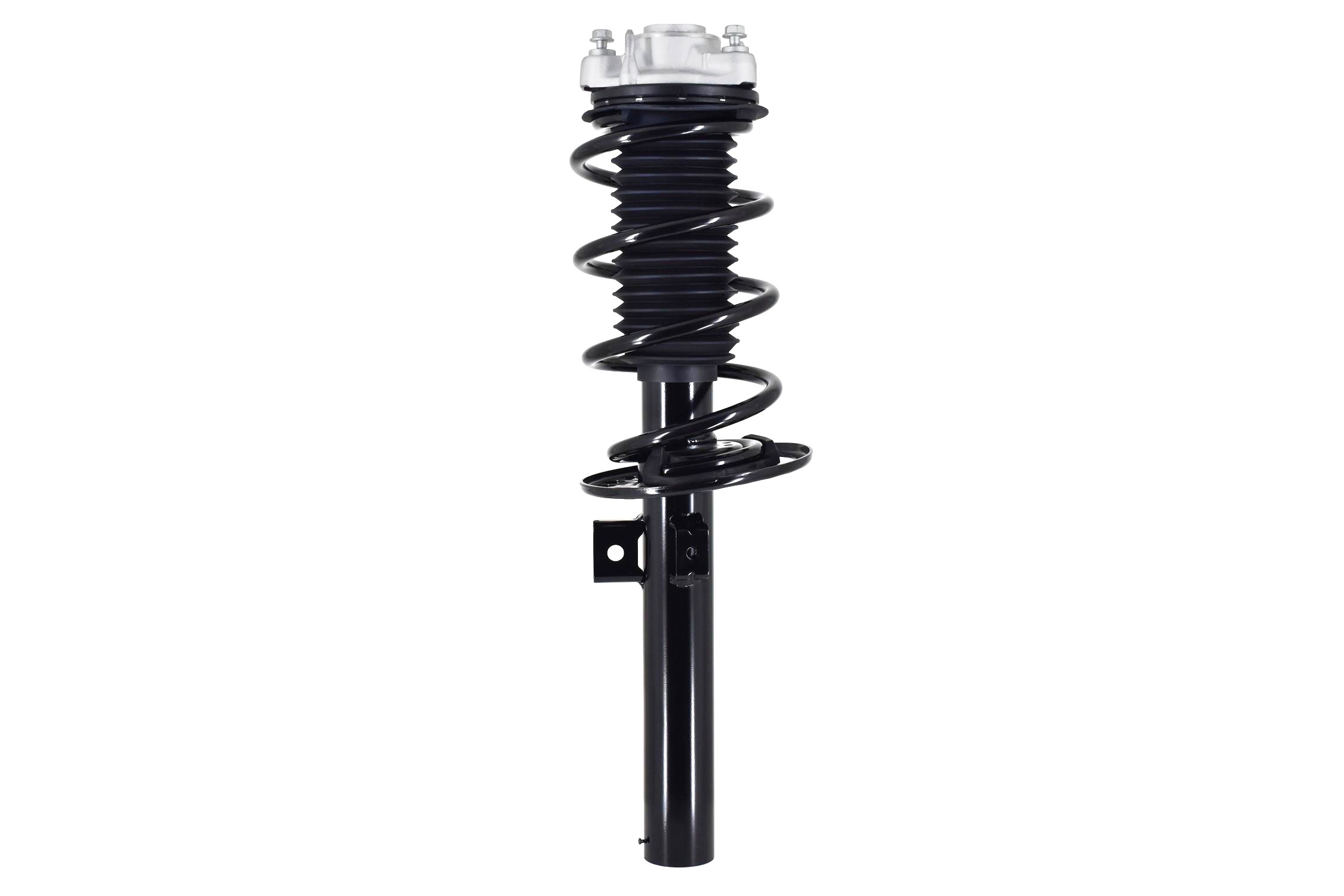 Suspension Strut and Coil Spring Assembly
