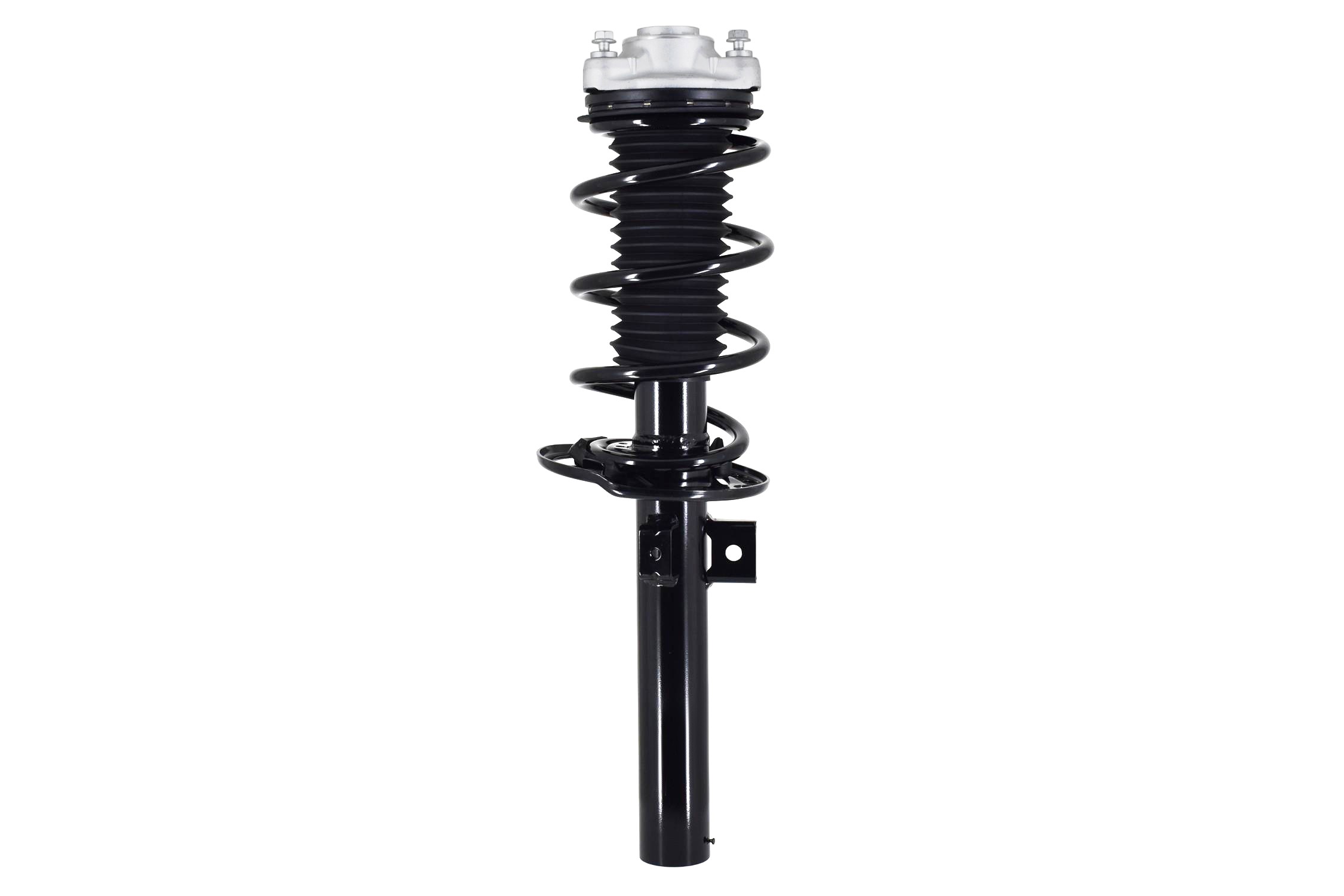 Suspension Strut and Coil Spring Assembly