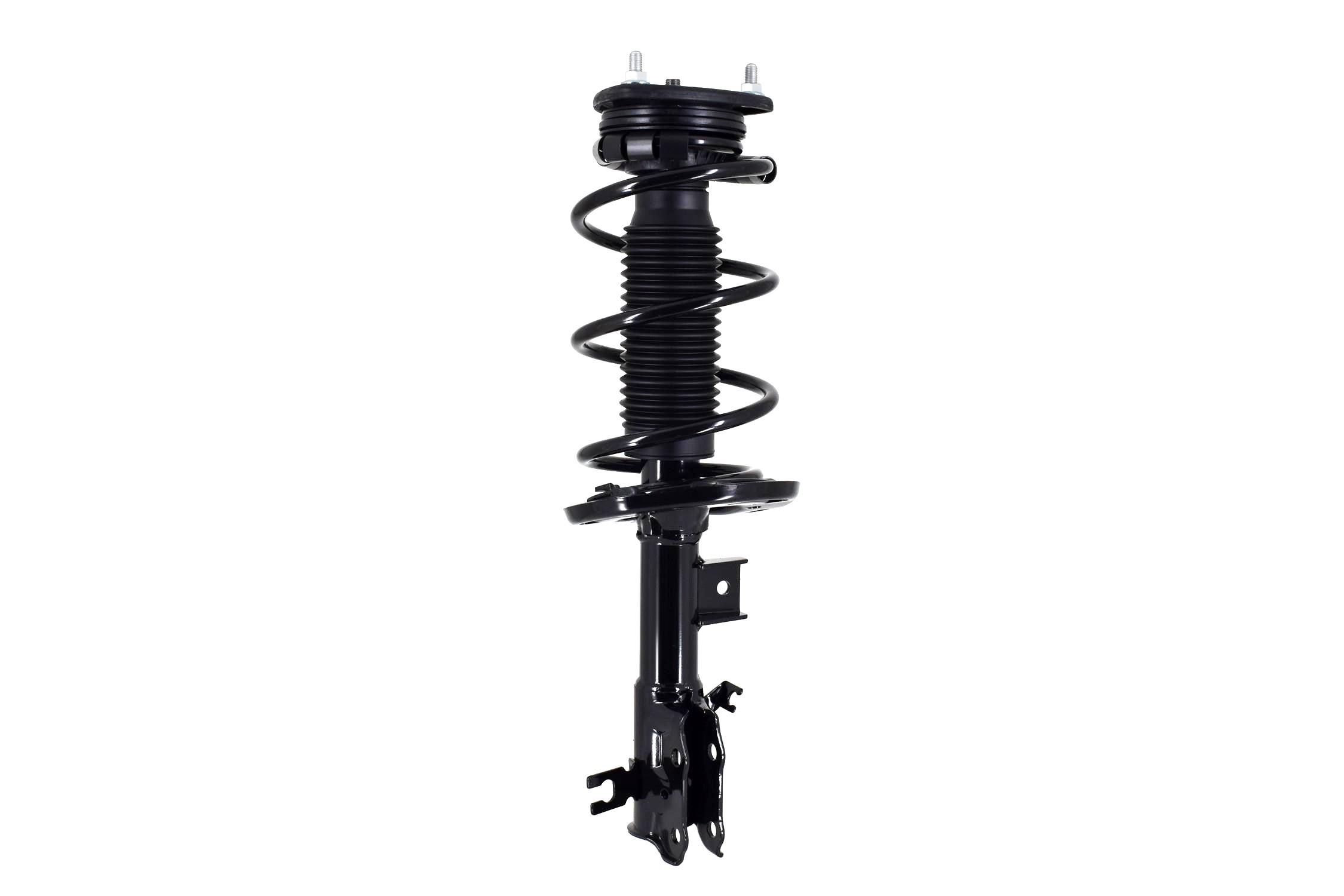 Suspension Strut and Coil Spring Assembly