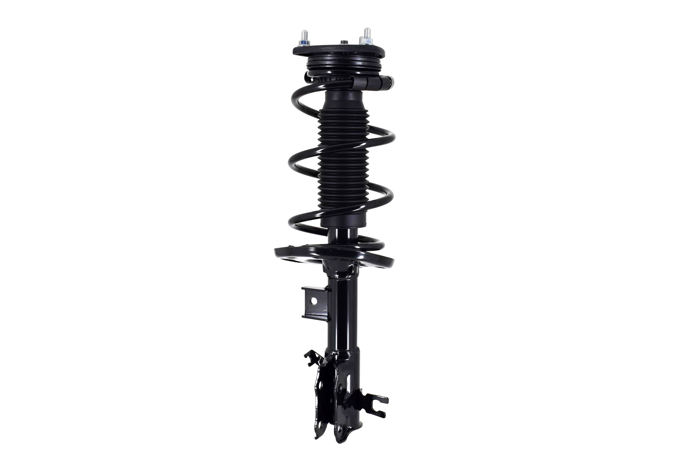 Suspension Strut and Coil Spring Assembly