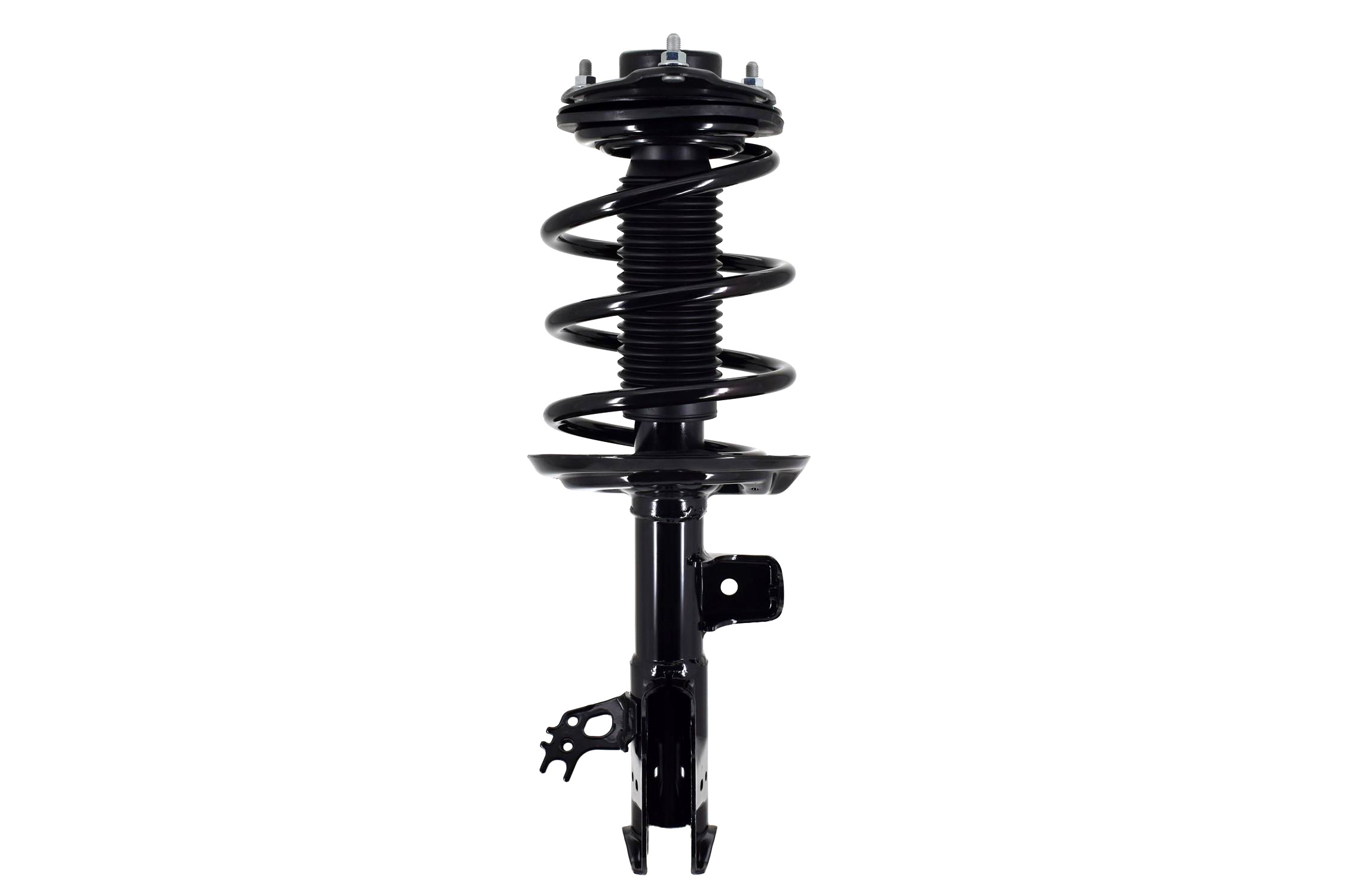 Suspension Strut and Coil Spring Assembly
