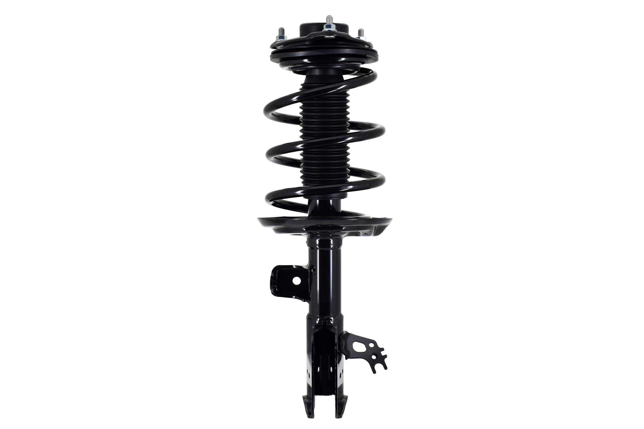 Suspension Strut and Coil Spring Assembly