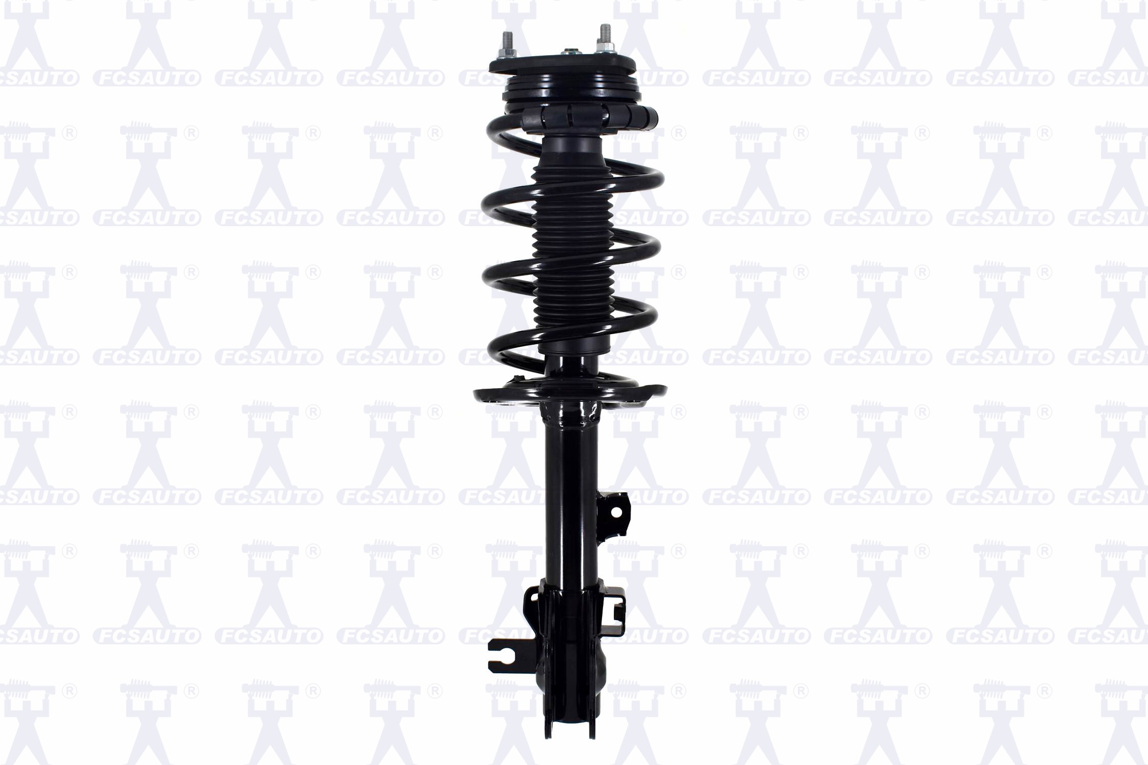 Suspension Strut and Coil Spring Assembly