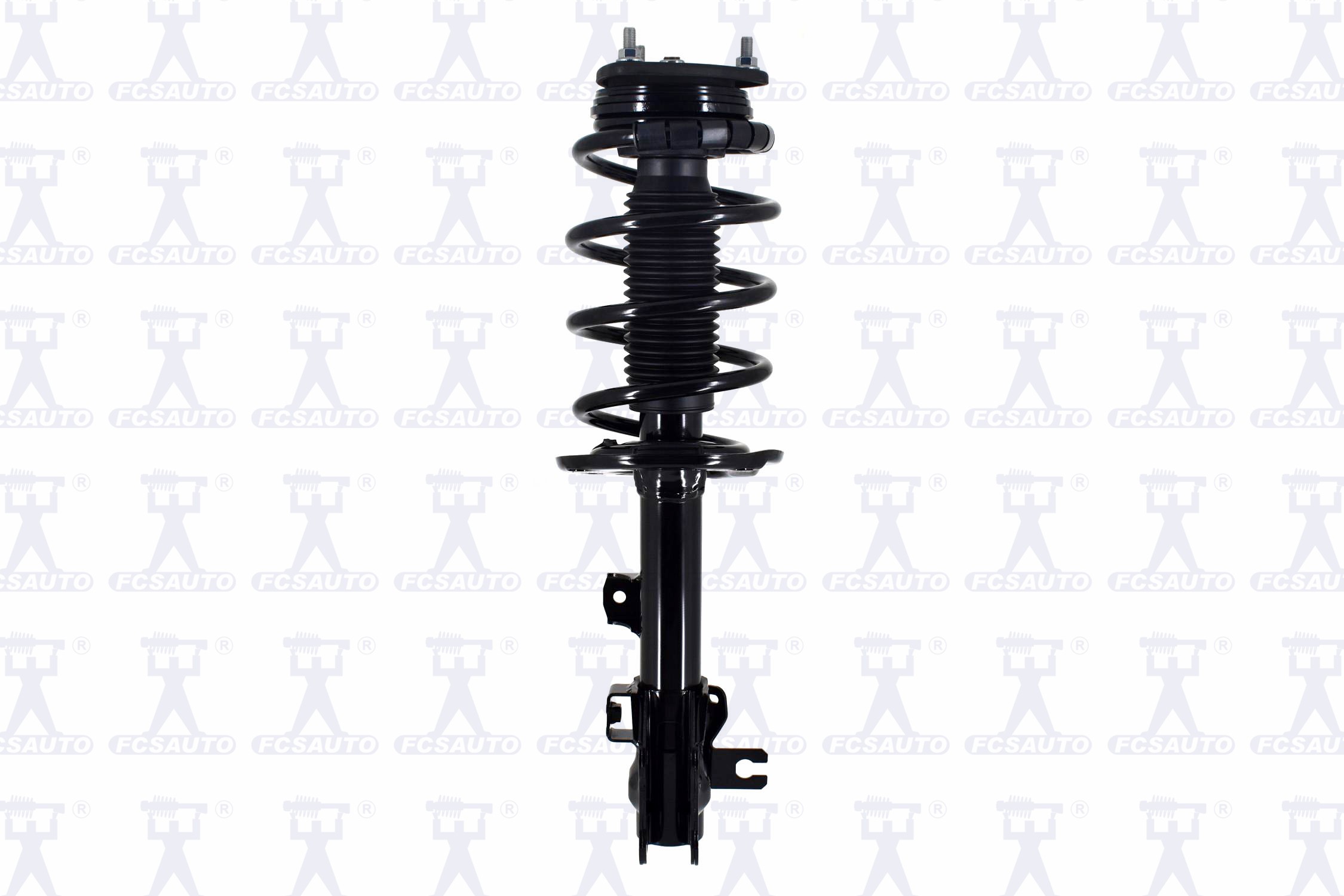 Suspension Strut and Coil Spring Assembly
