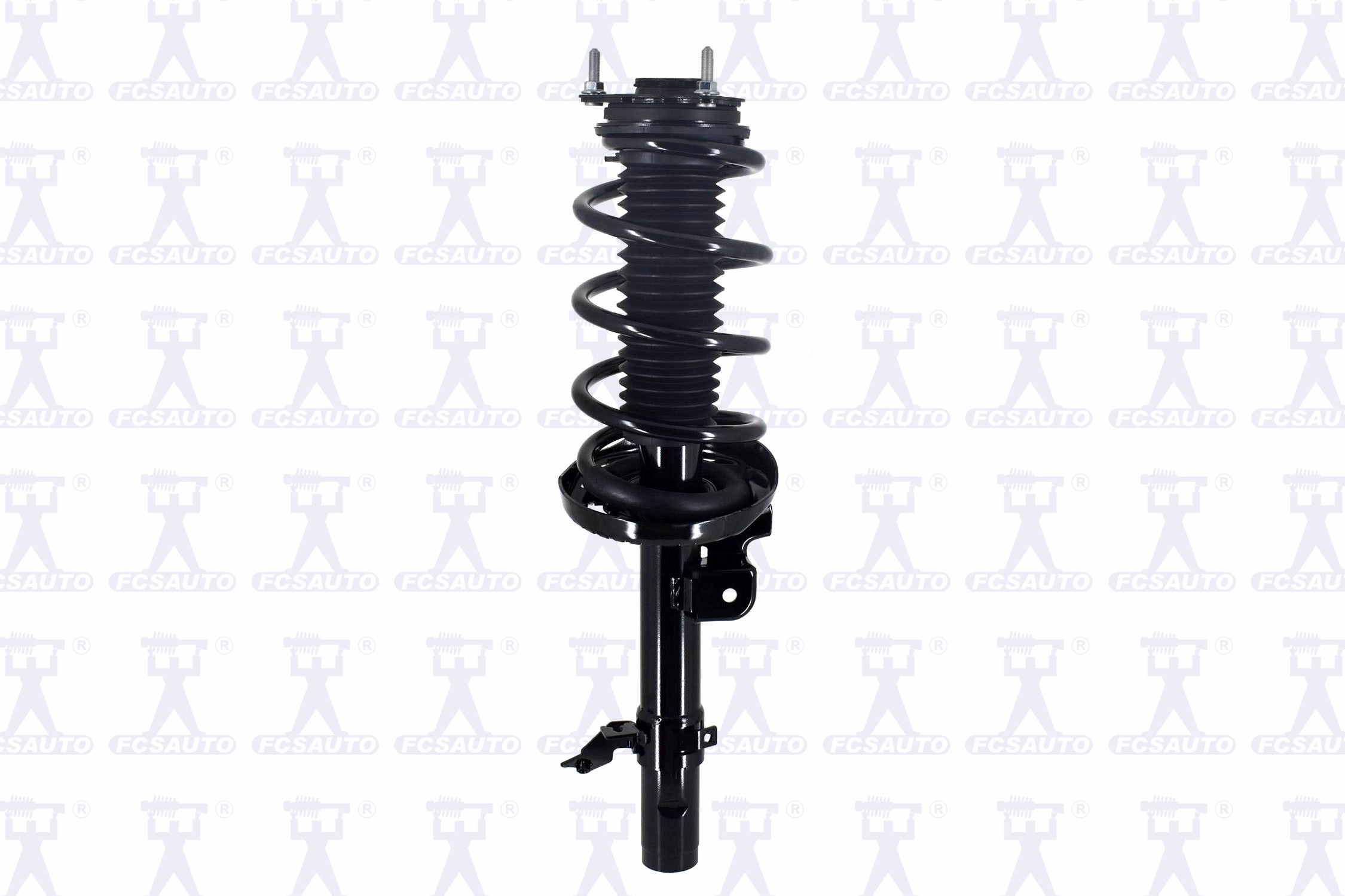 Suspension Strut and Coil Spring Assembly