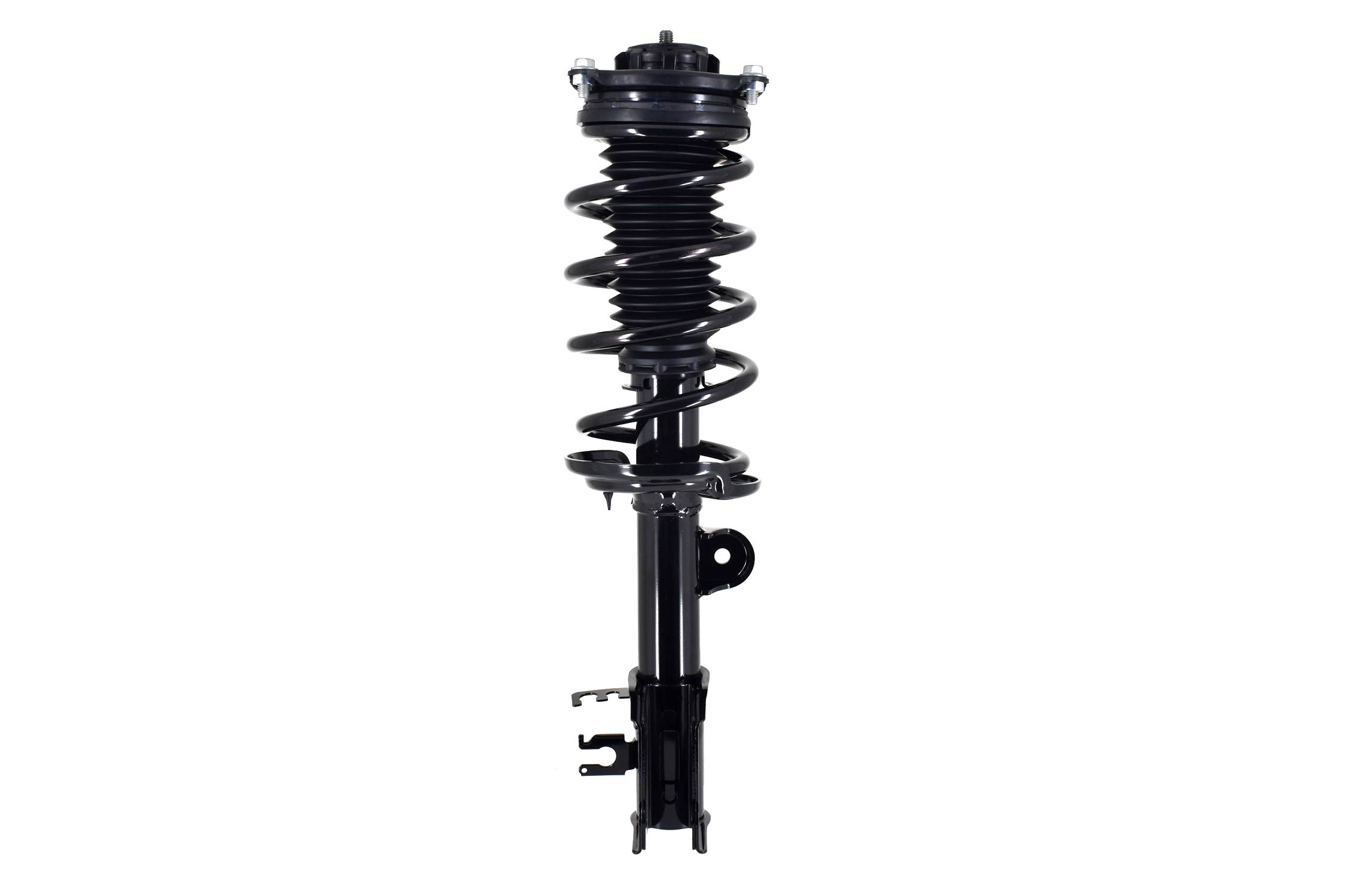 Suspension Strut and Coil Spring Assembly