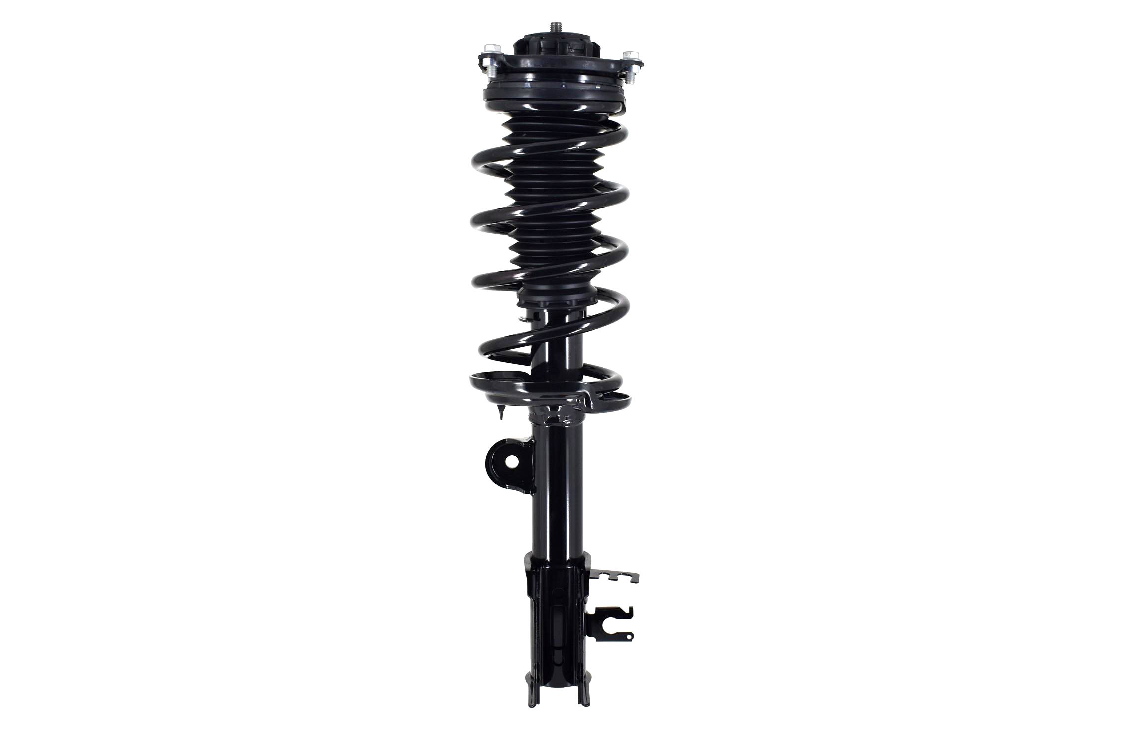 Suspension Strut and Coil Spring Assembly