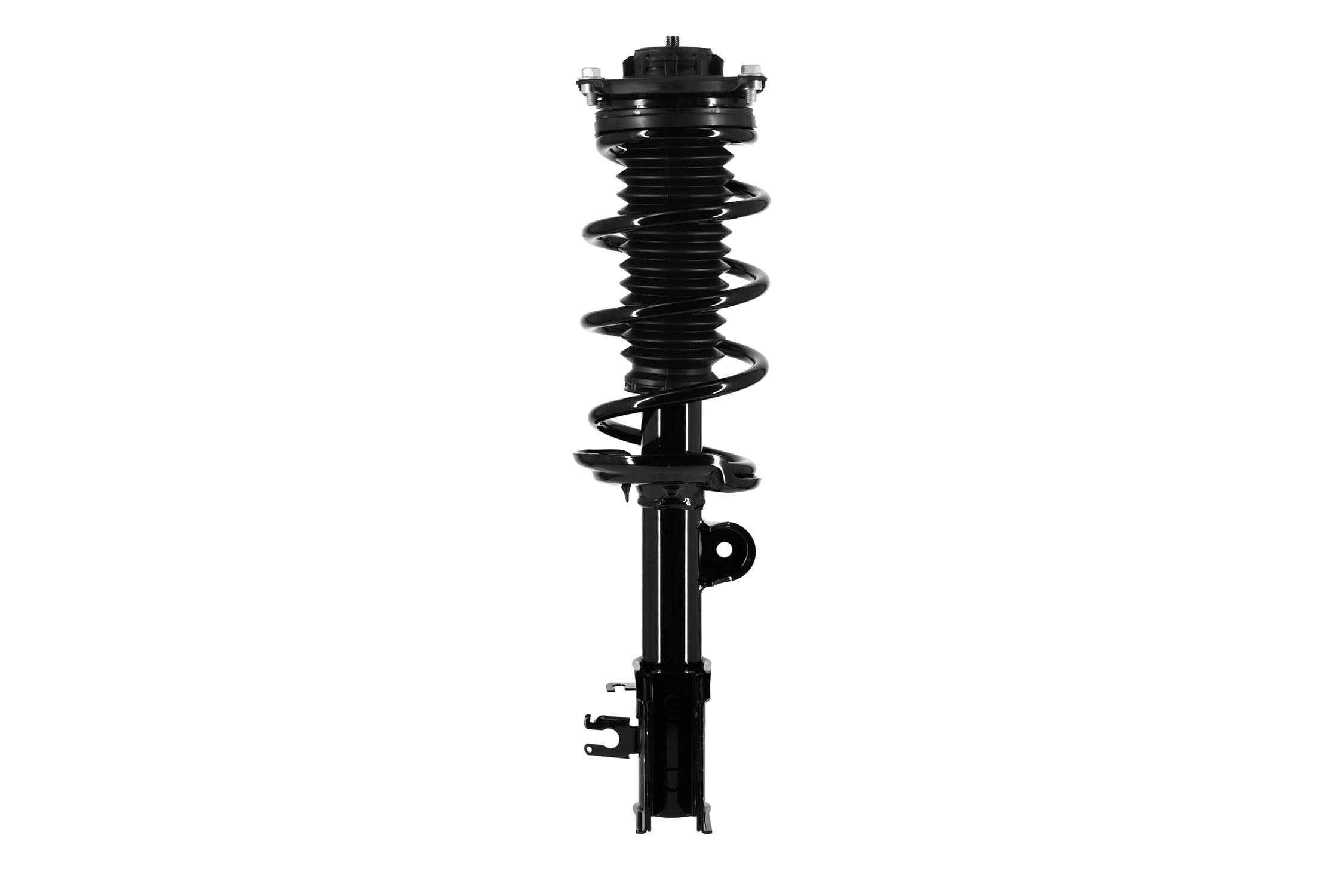 Suspension Strut and Coil Spring Assembly