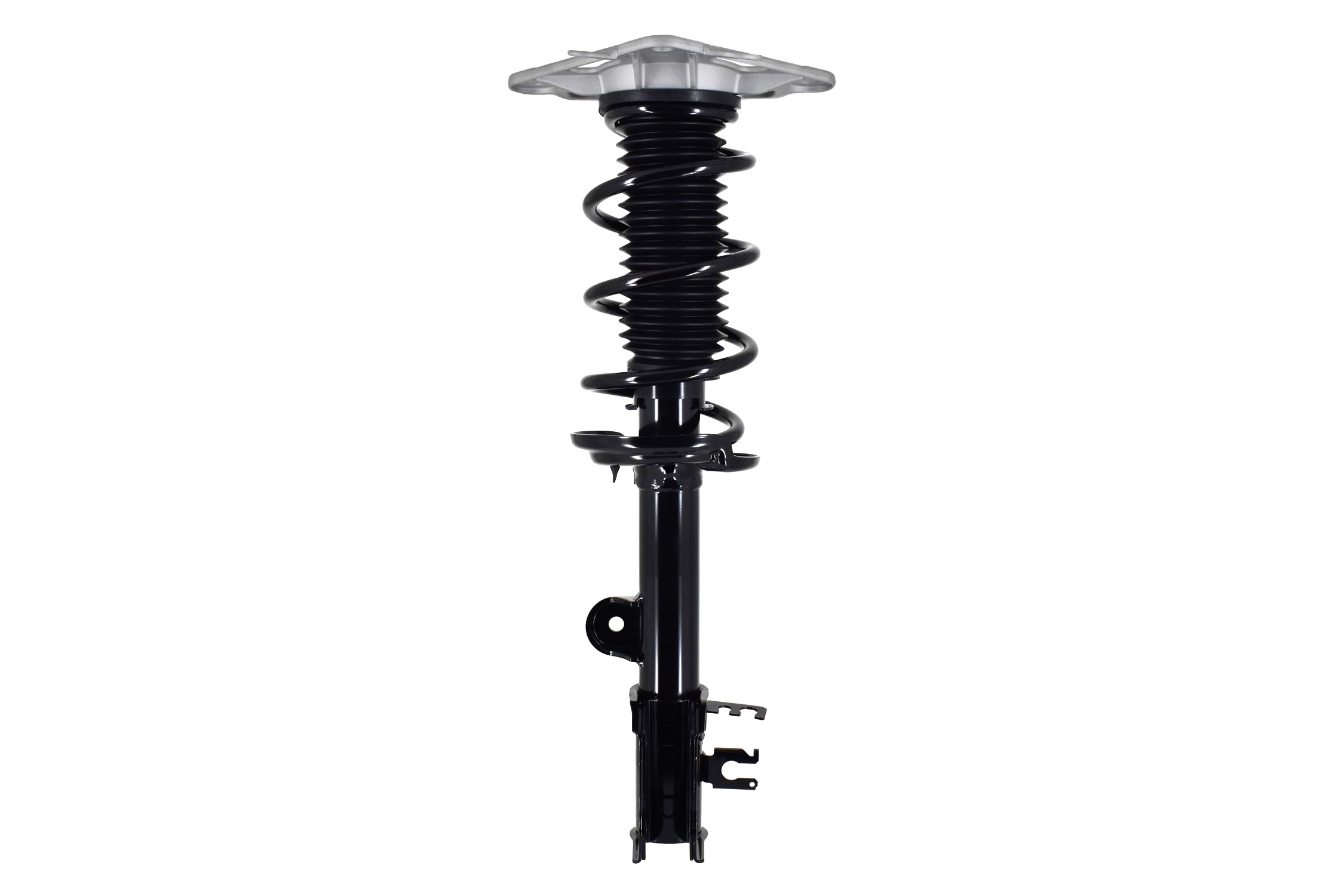 Suspension Strut and Coil Spring Assembly