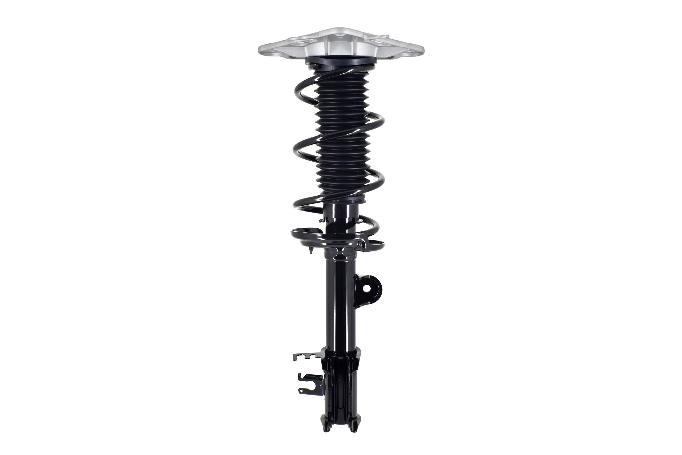 Suspension Strut and Coil Spring Assembly