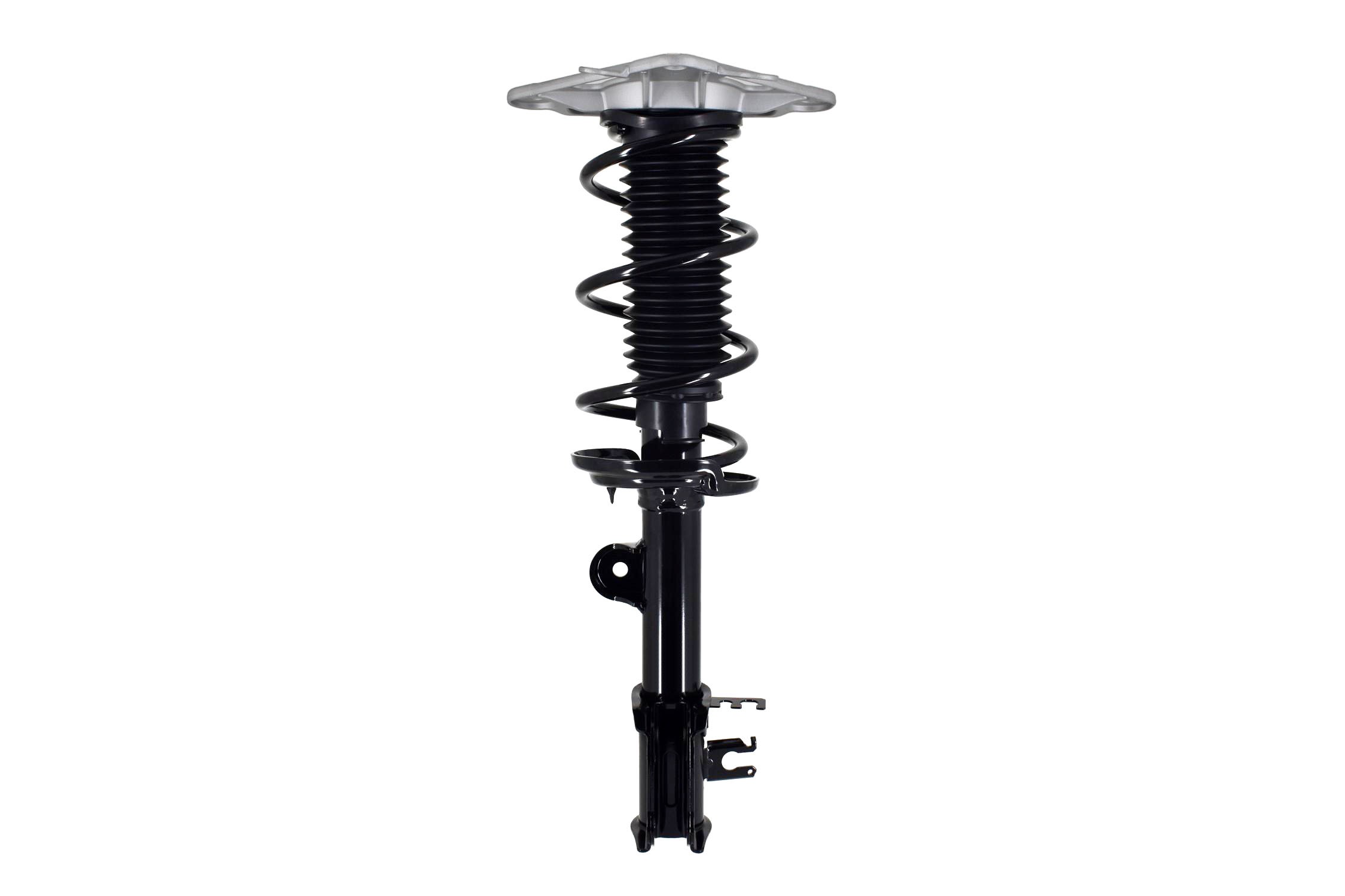 Suspension Strut and Coil Spring Assembly