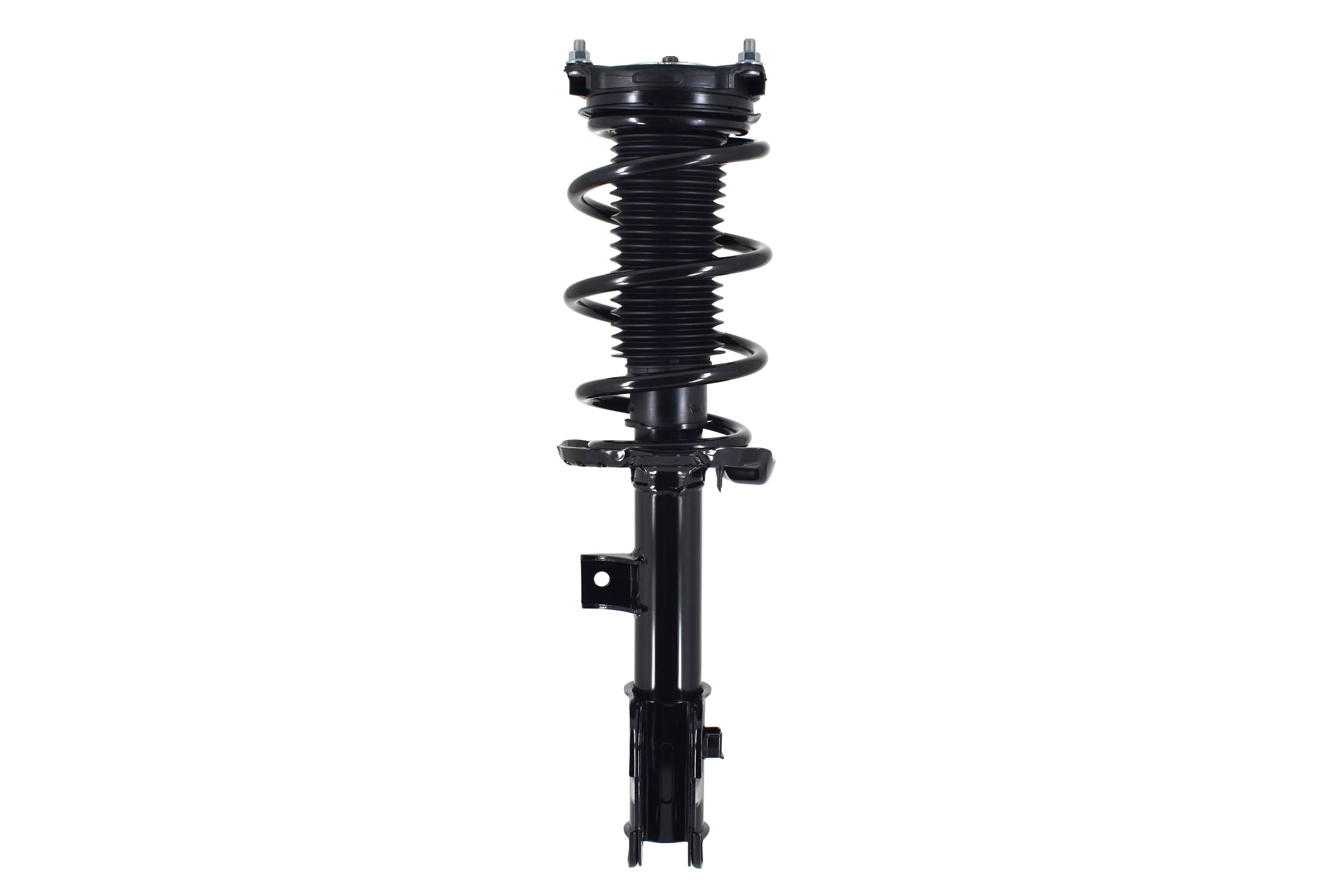 Suspension Strut and Coil Spring Assembly
