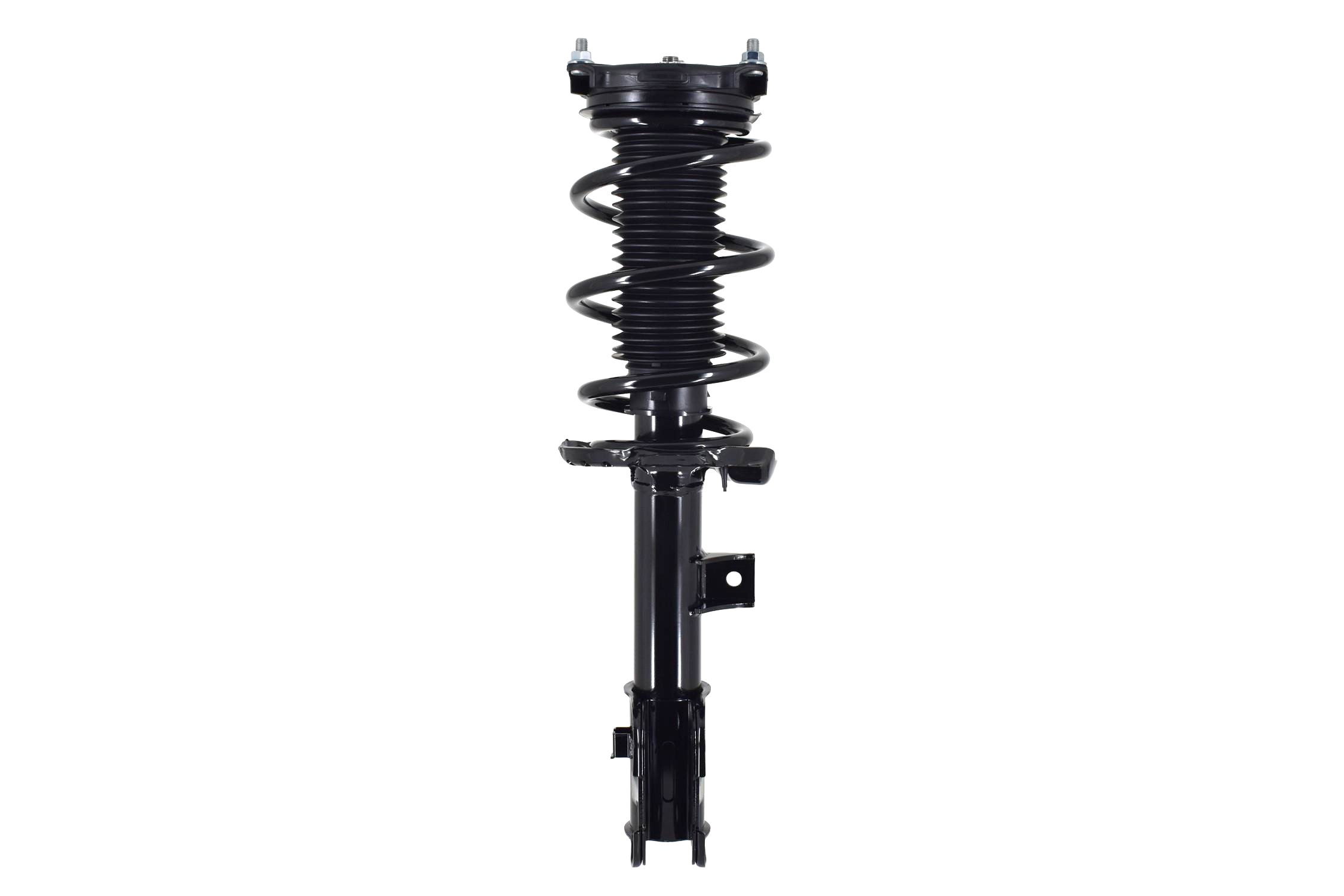 Suspension Strut and Coil Spring Assembly