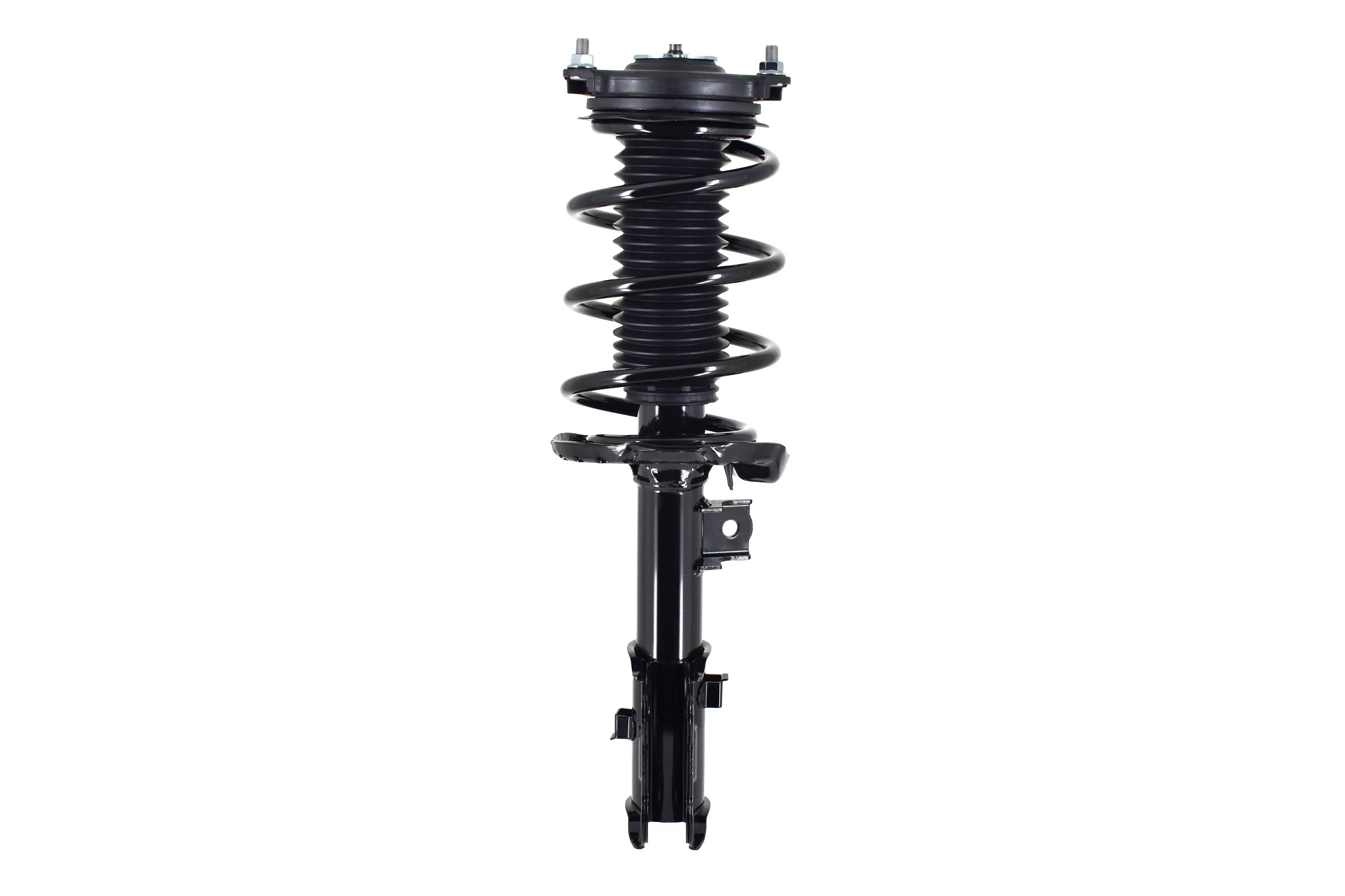 Suspension Strut and Coil Spring Assembly